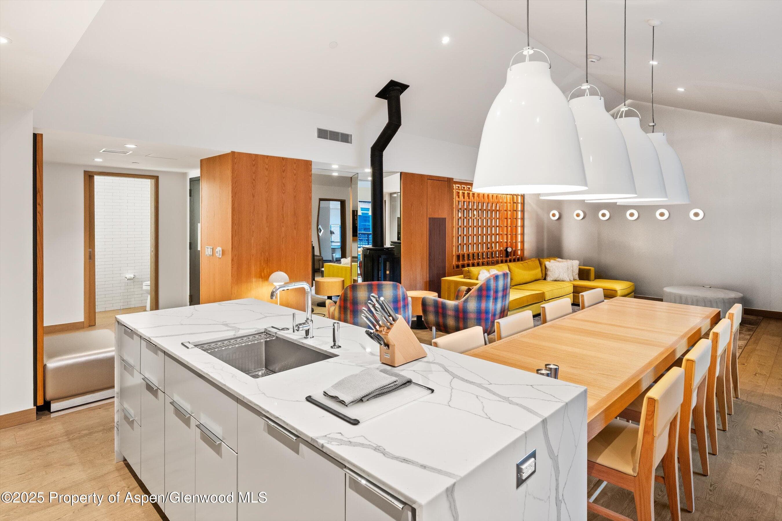 550 S Spring Street F10 1-10, Aspen, CO 81611 - Photo 10