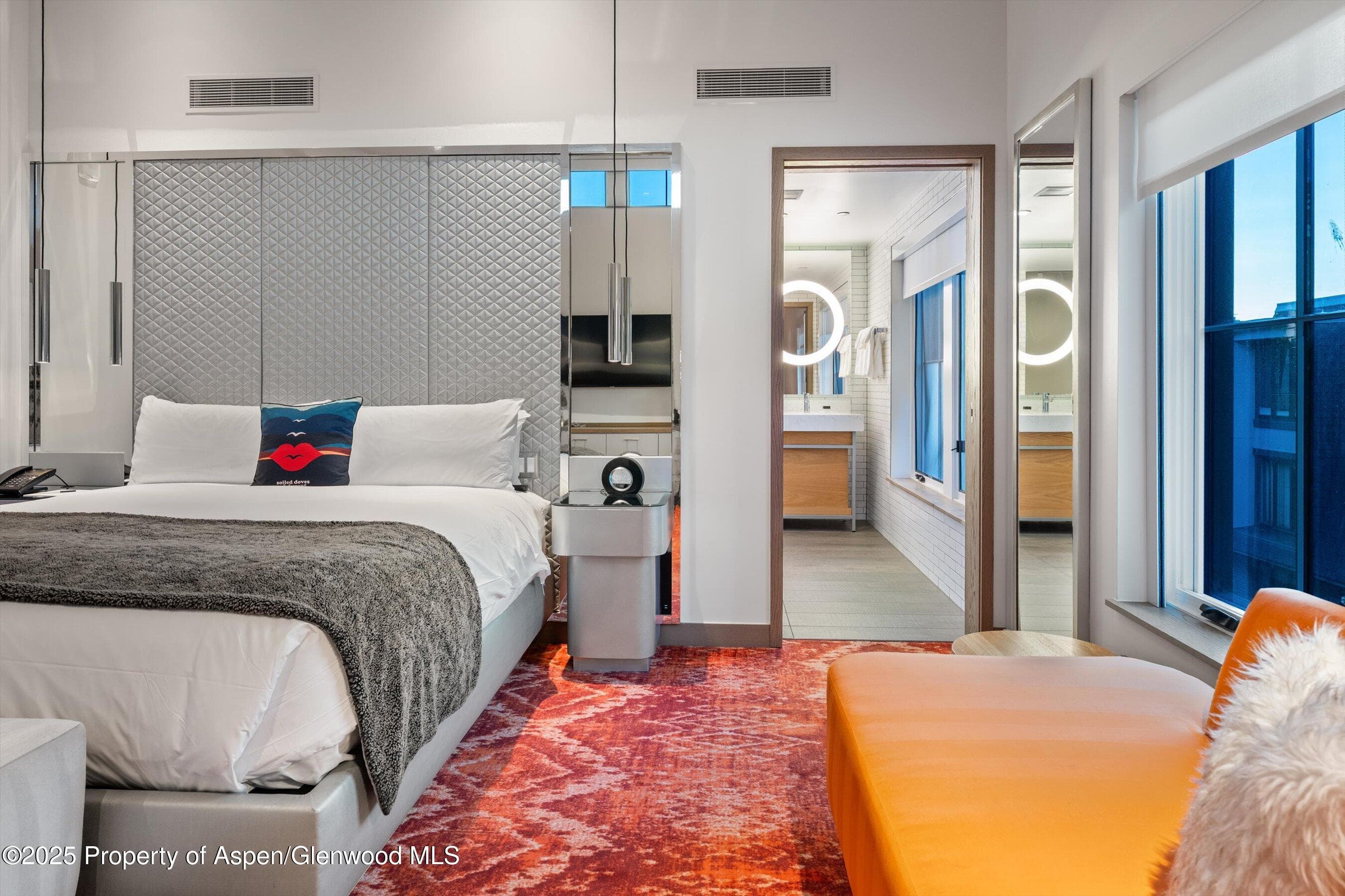 550 S Spring Street F10 1-10, Aspen, CO 81611 - Photo 25