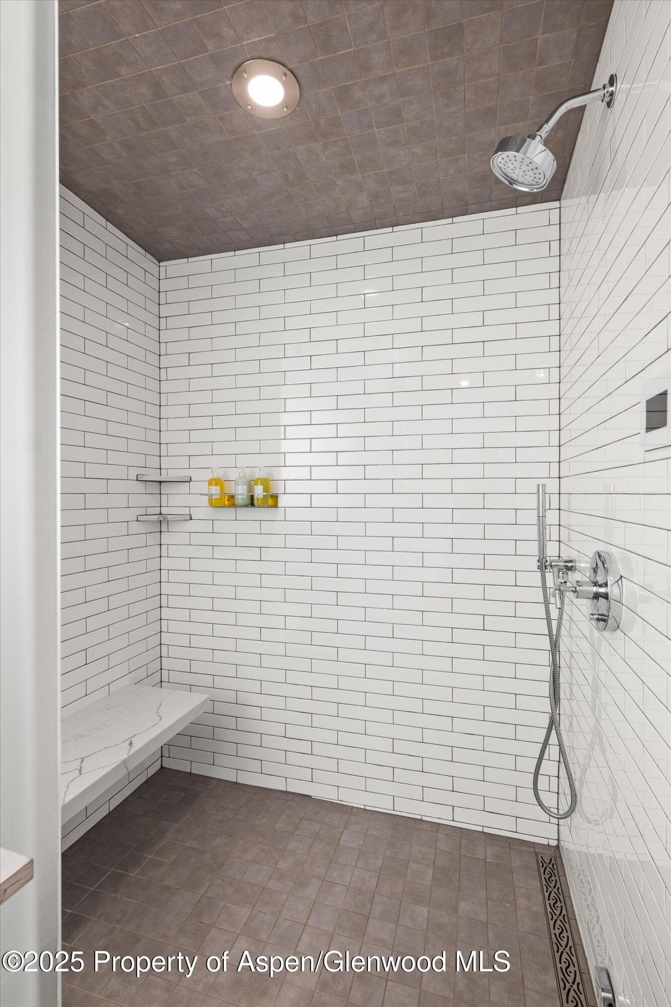 550 S Spring Street F10 1-10, Aspen, CO 81611 - Photo 30