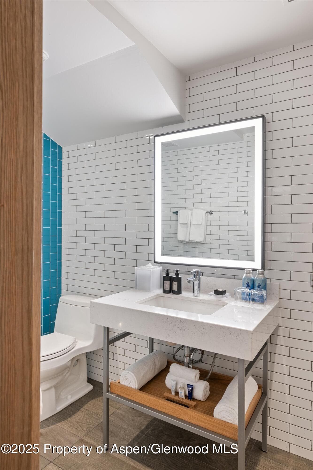 550 S Spring Street F10 1-10, Aspen, CO 81611 - Photo 40