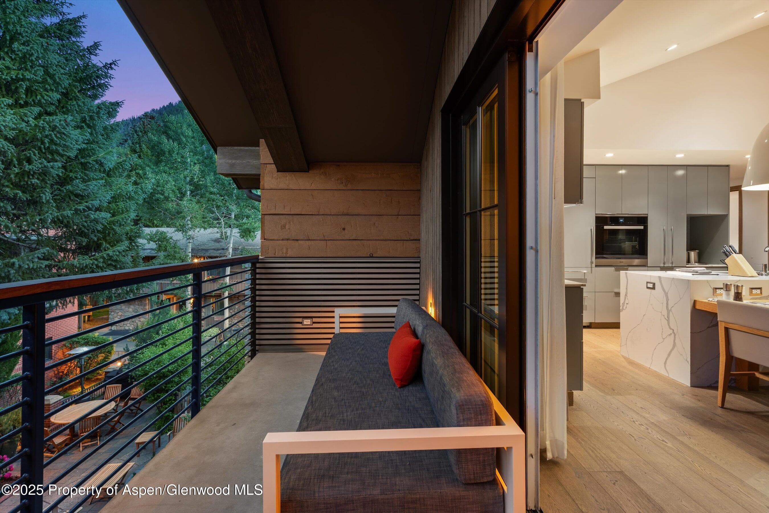 550 S Spring Street F10 1-10, Aspen, CO 81611 - Photo 45