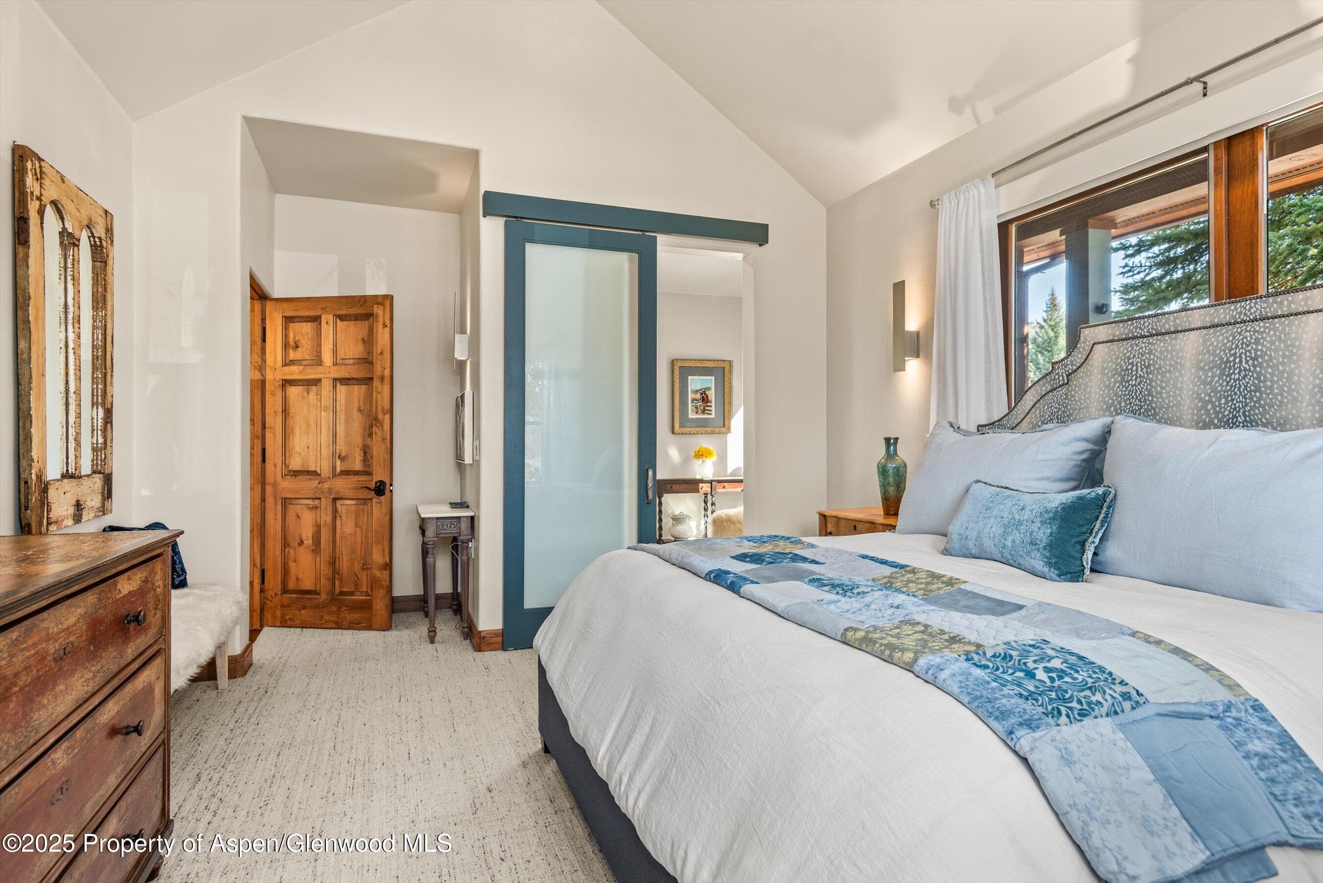 625 BROOKIE, Carbondale, CO 81623 - Photo 19