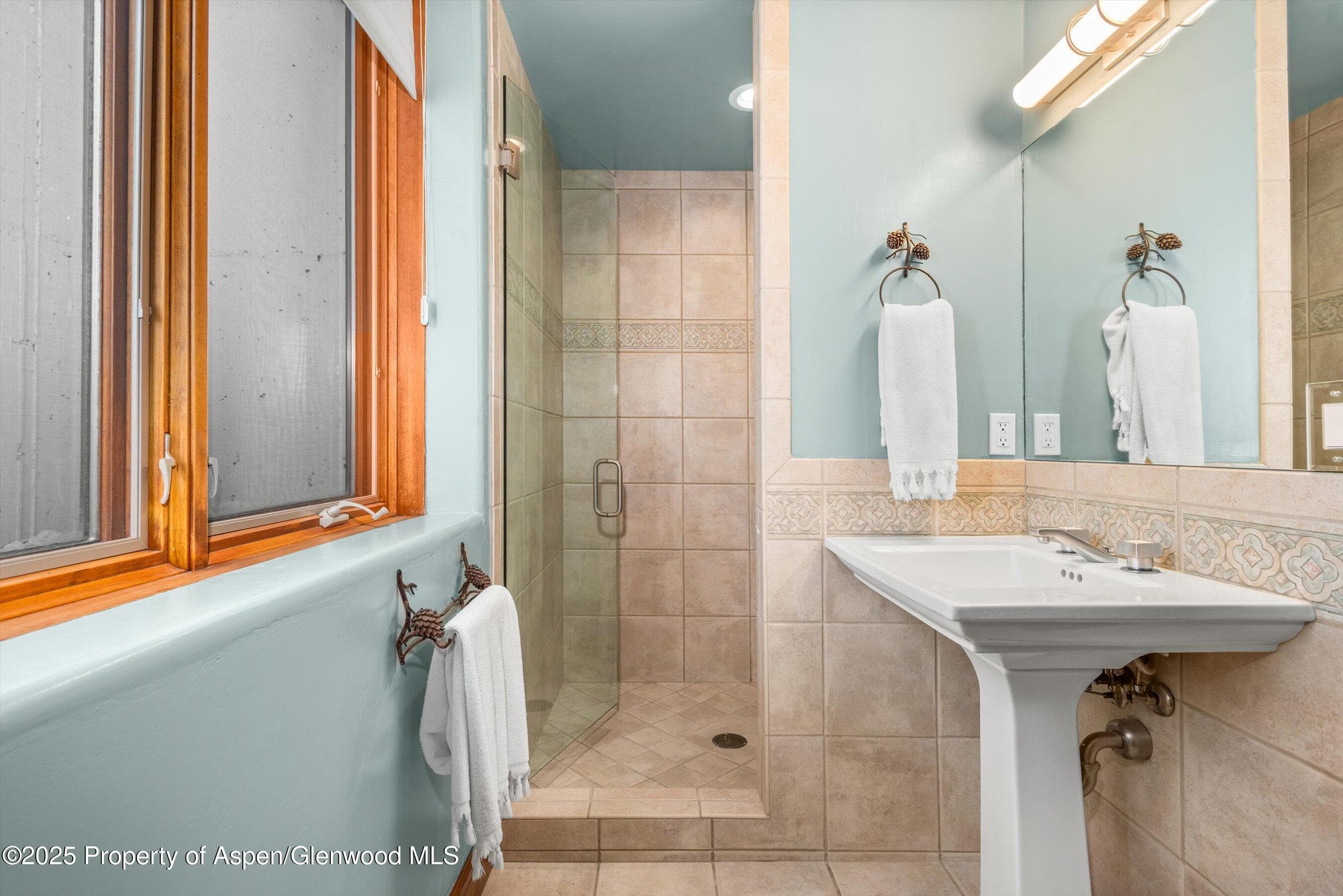 625 BROOKIE, Carbondale, CO 81623 - Photo 29