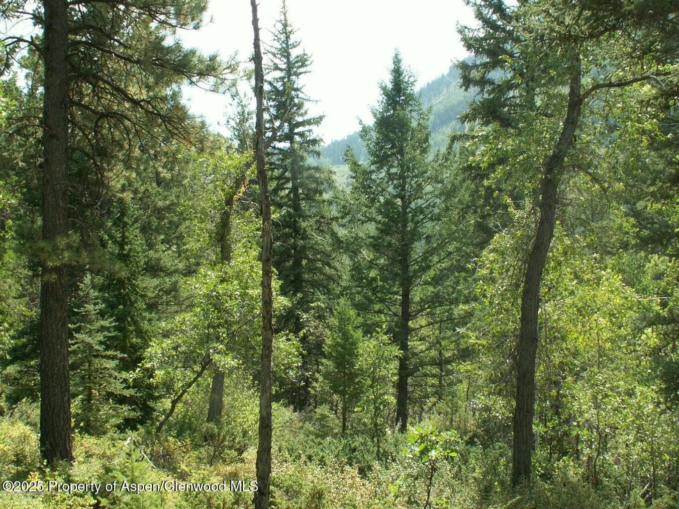 TBD W Village Drive Lot A-1, Marble, CO 81623 - Photo 6