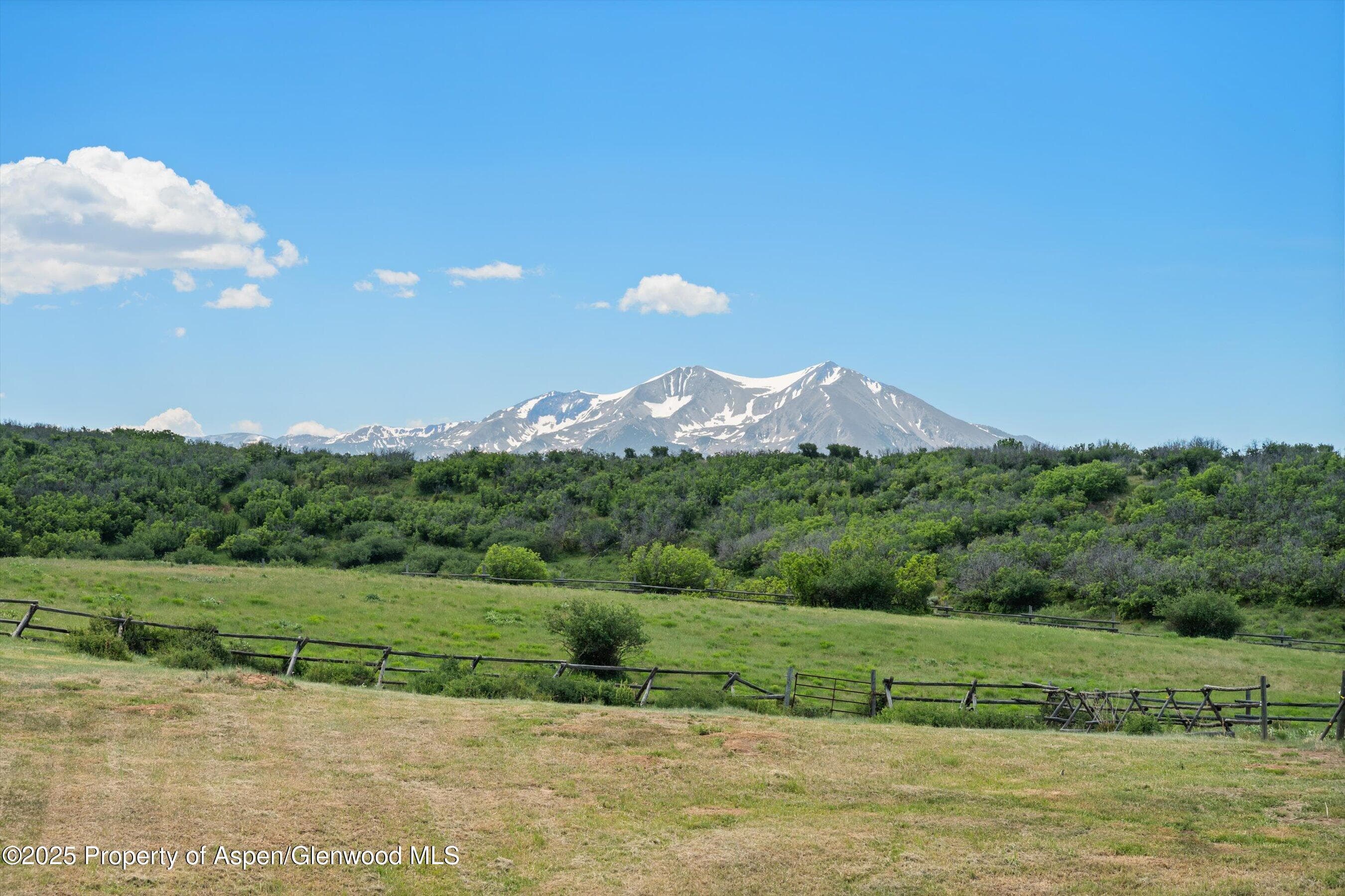 248 Basalt Mountain Drive, Carbondale, CO 81623 - Photo 23