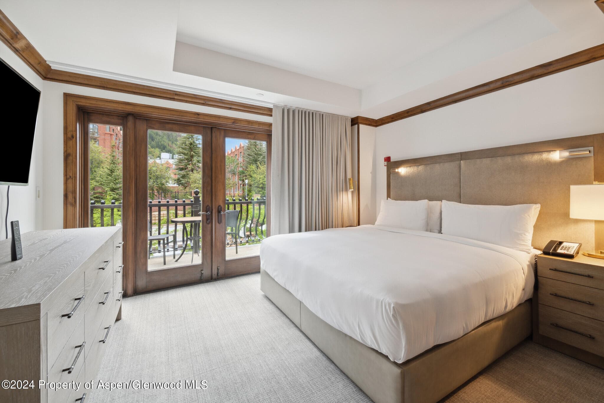 415 E Dean St, Unit 22, Week 26, Aspen, CO 81611 - Photo 13