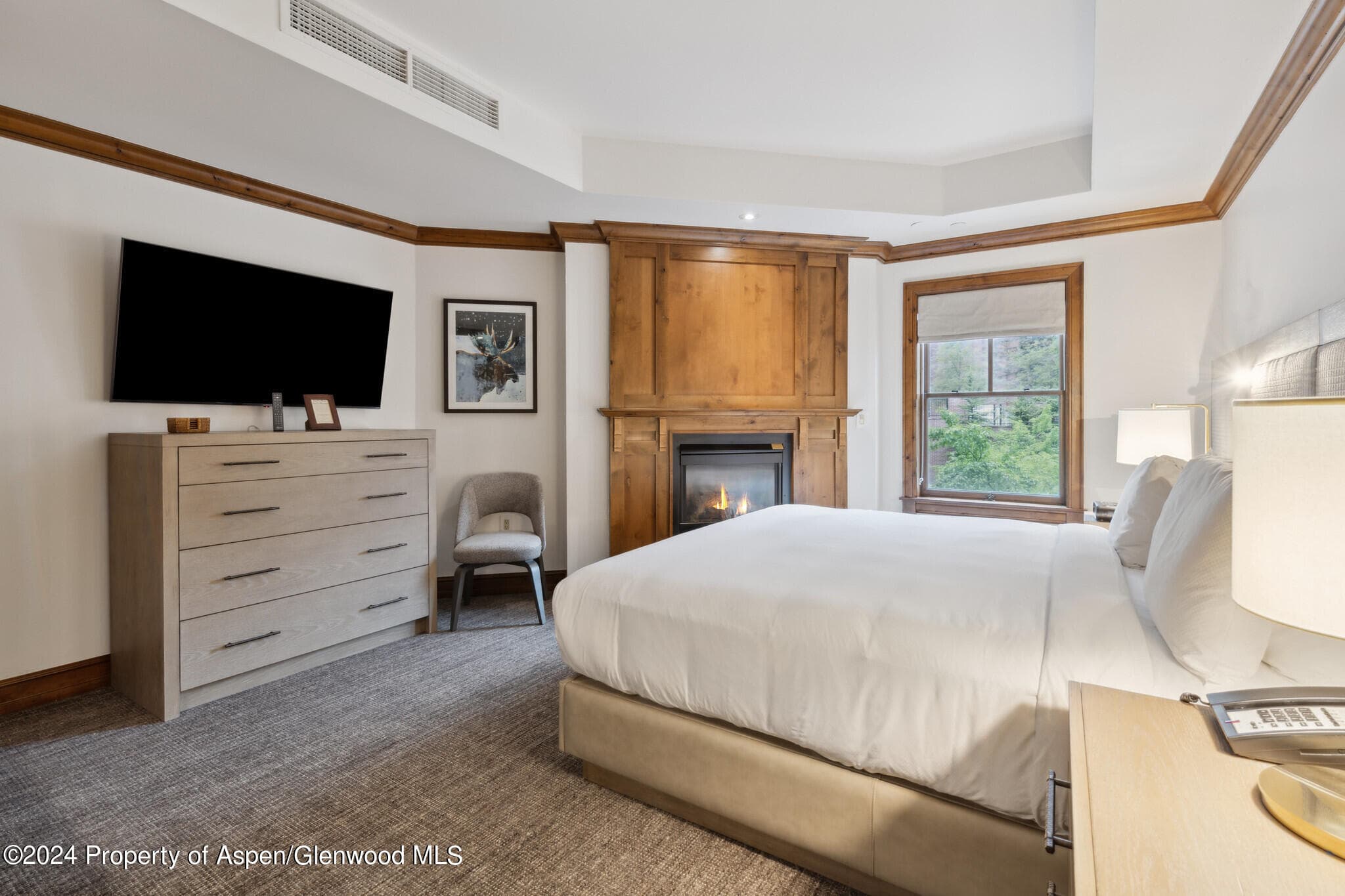 415 E Dean St, Unit 22, Week 26, Aspen, CO 81611 - Photo 15