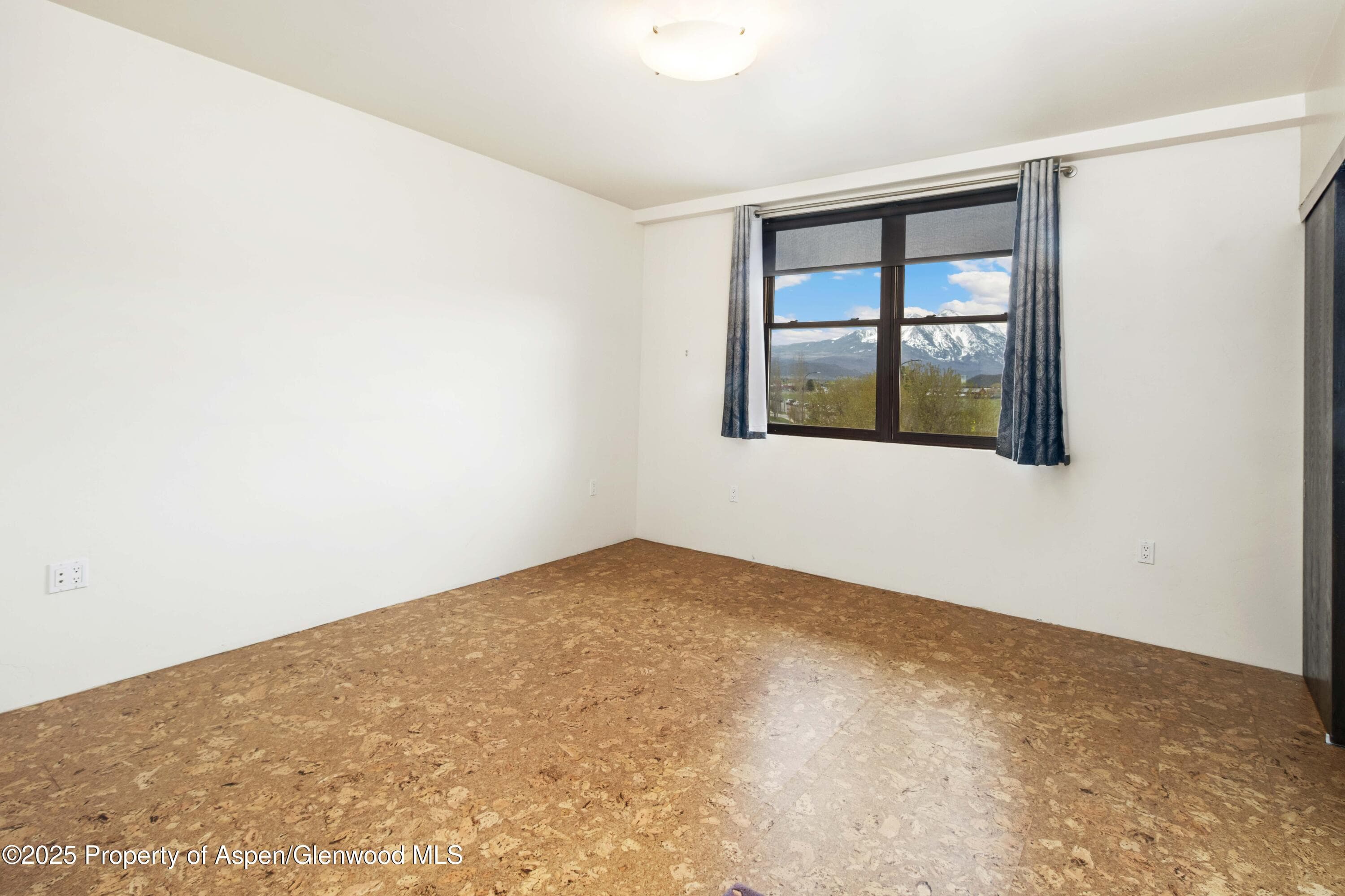 2635 Dolores Way, Carbondale, CO 81623 - Photo 7