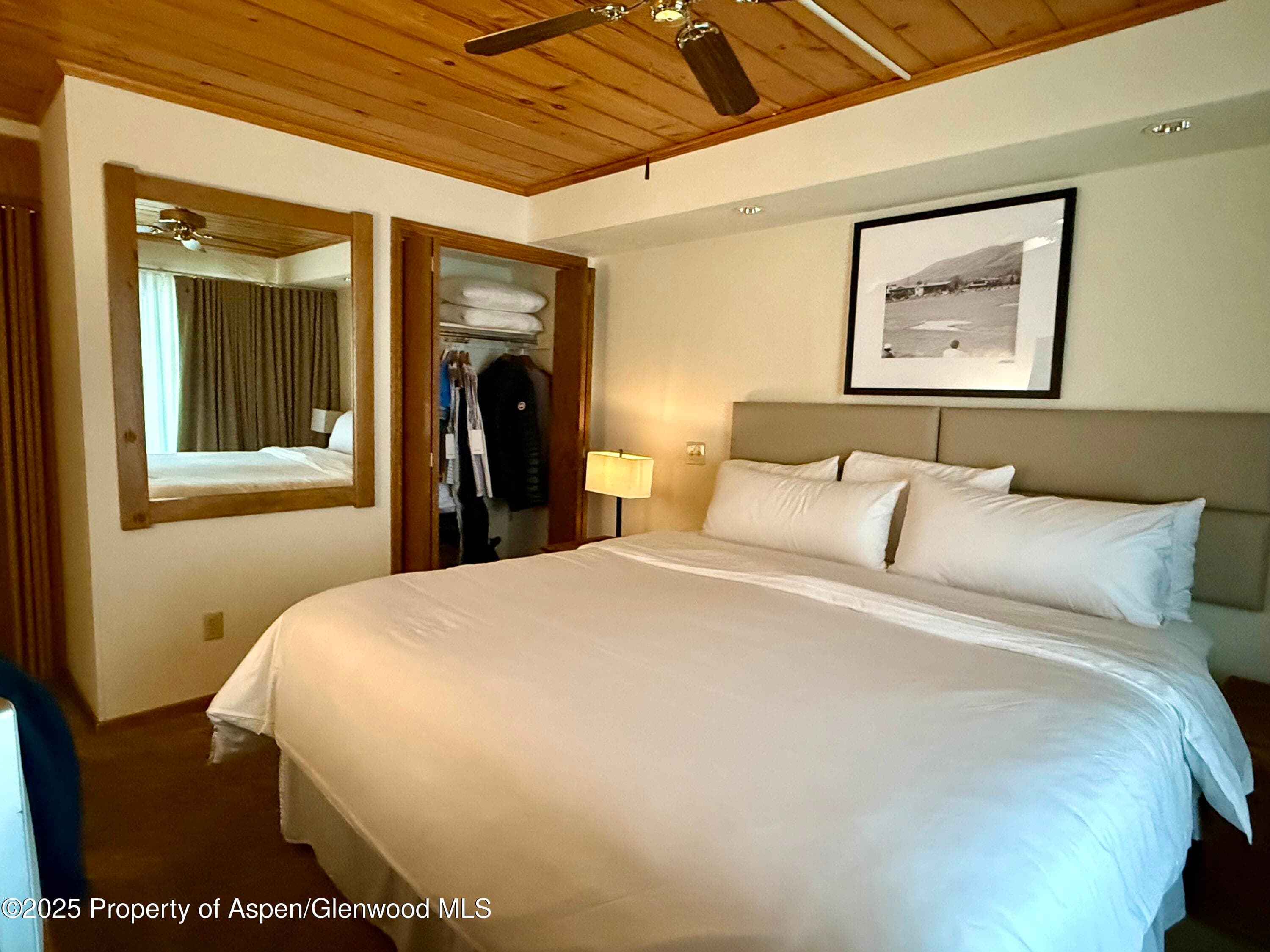 301 E Hyman Avenue #205 (Wks 21,22,38), Aspen, CO 81611 - Photo 3