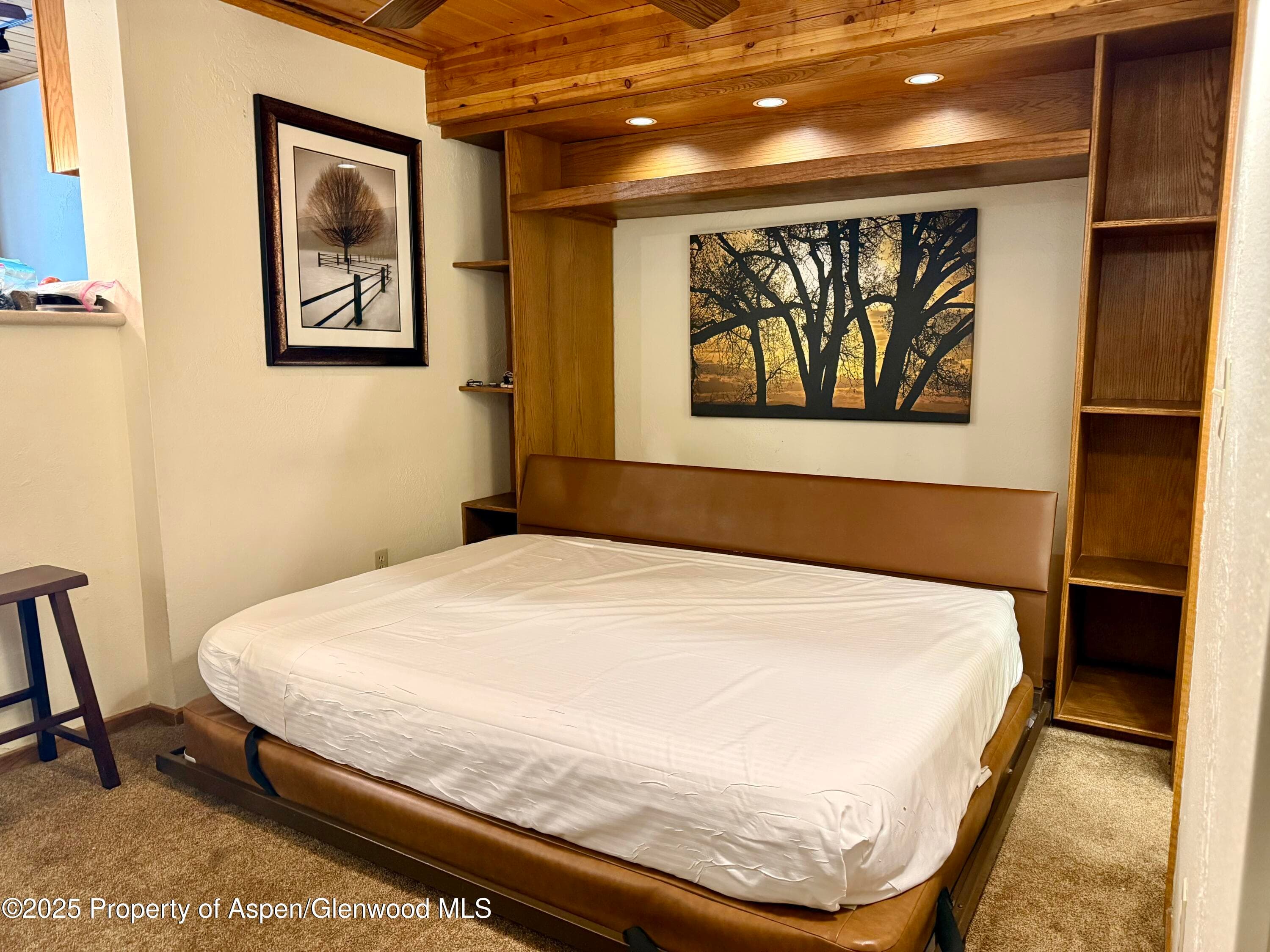 301 E Hyman Avenue #205 (Wks 21,22,38), Aspen, CO 81611 - Photo 5
