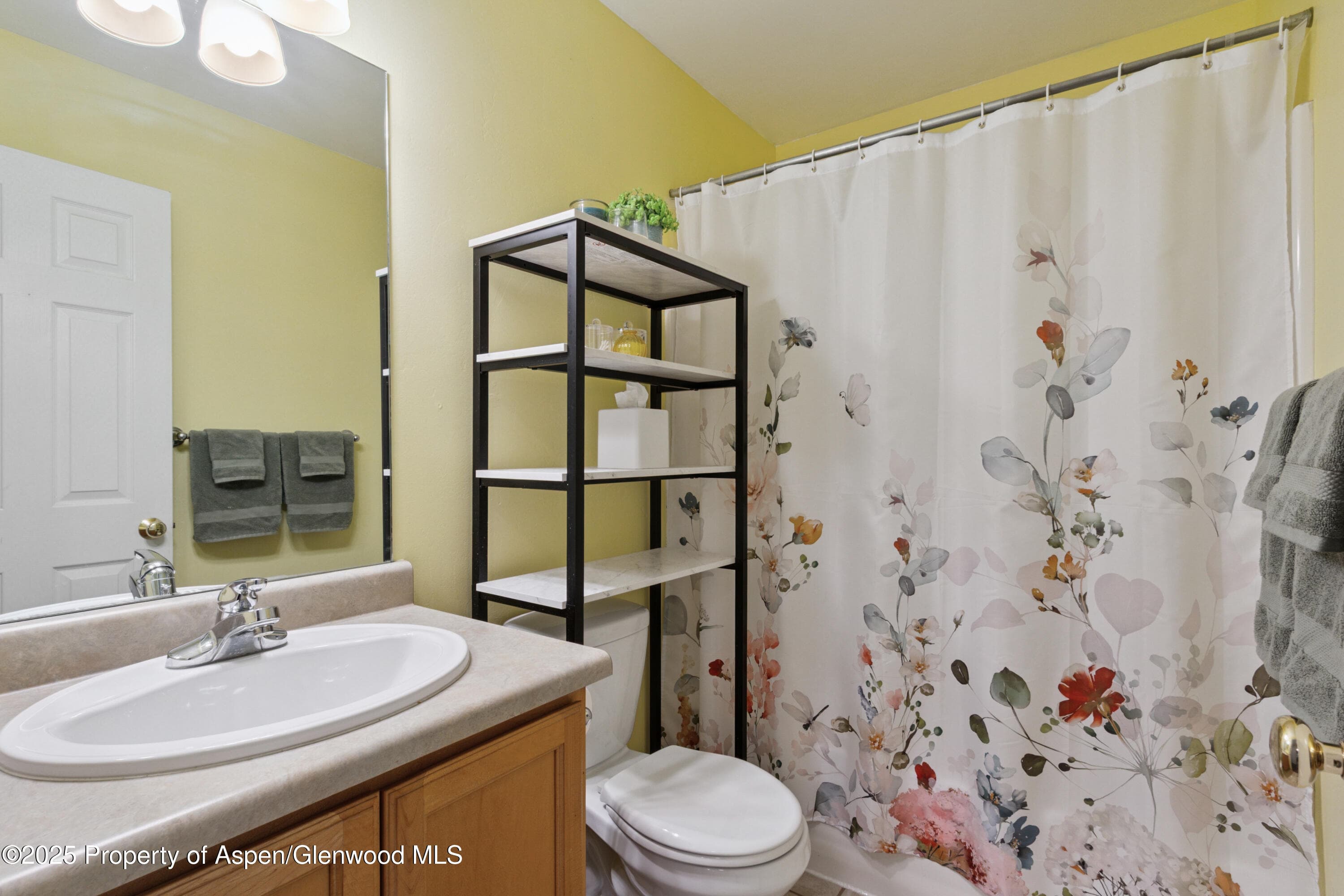 730 Storm King Circle, New Castle, CO 81647 - Photo 12