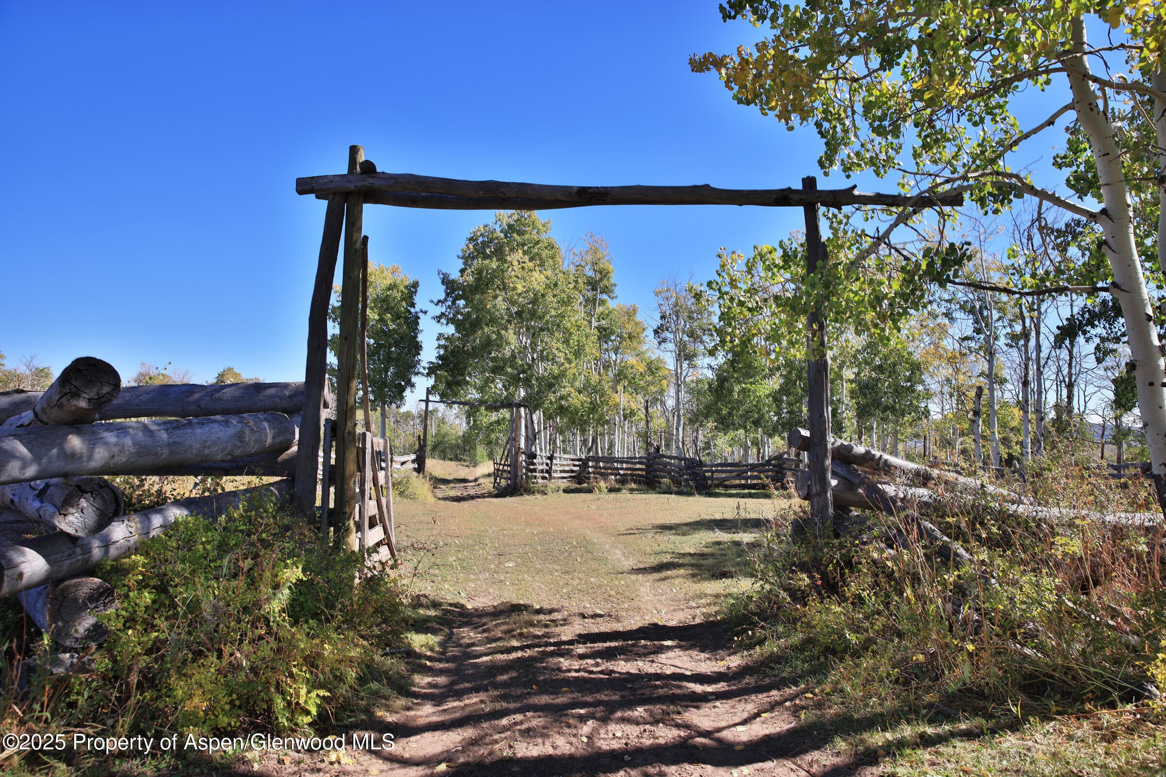 TBD Divide Road Entire Package, Whitewater, CO 81527 - Photo 5