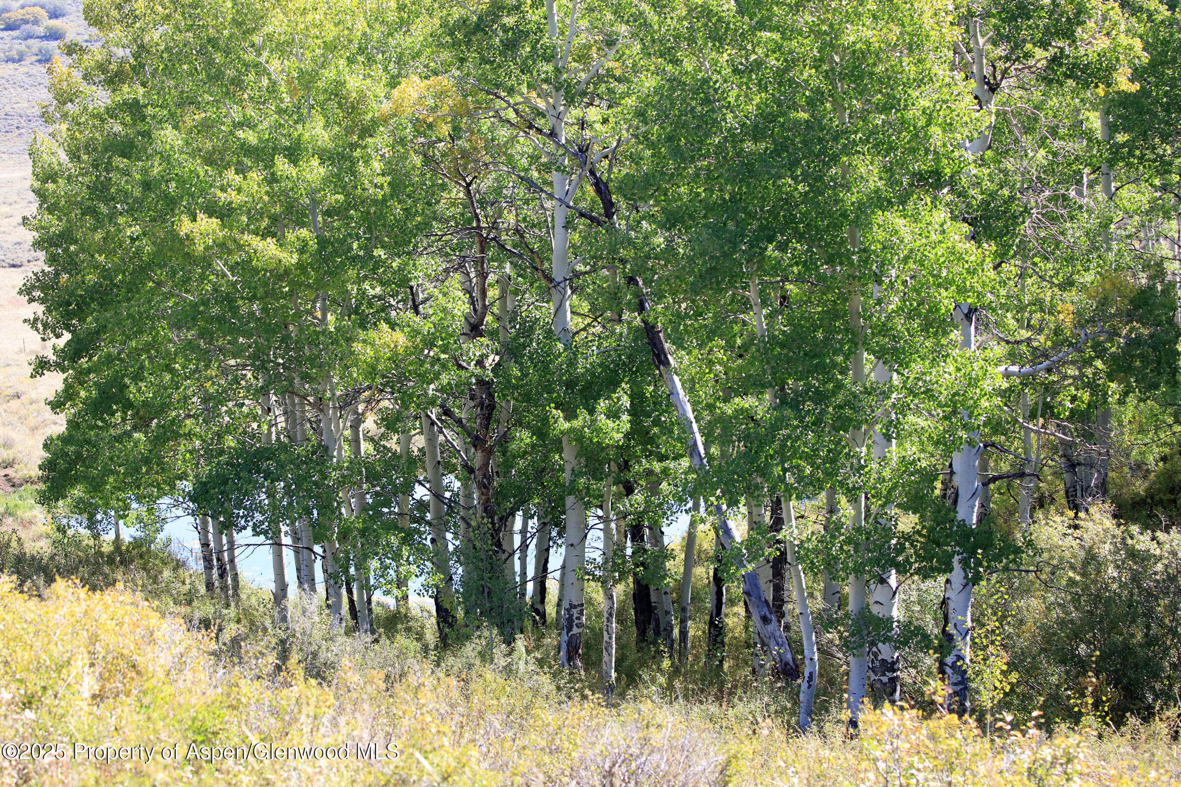 TBD Divide Road Entire Package, Whitewater, CO 81527 - Photo 25