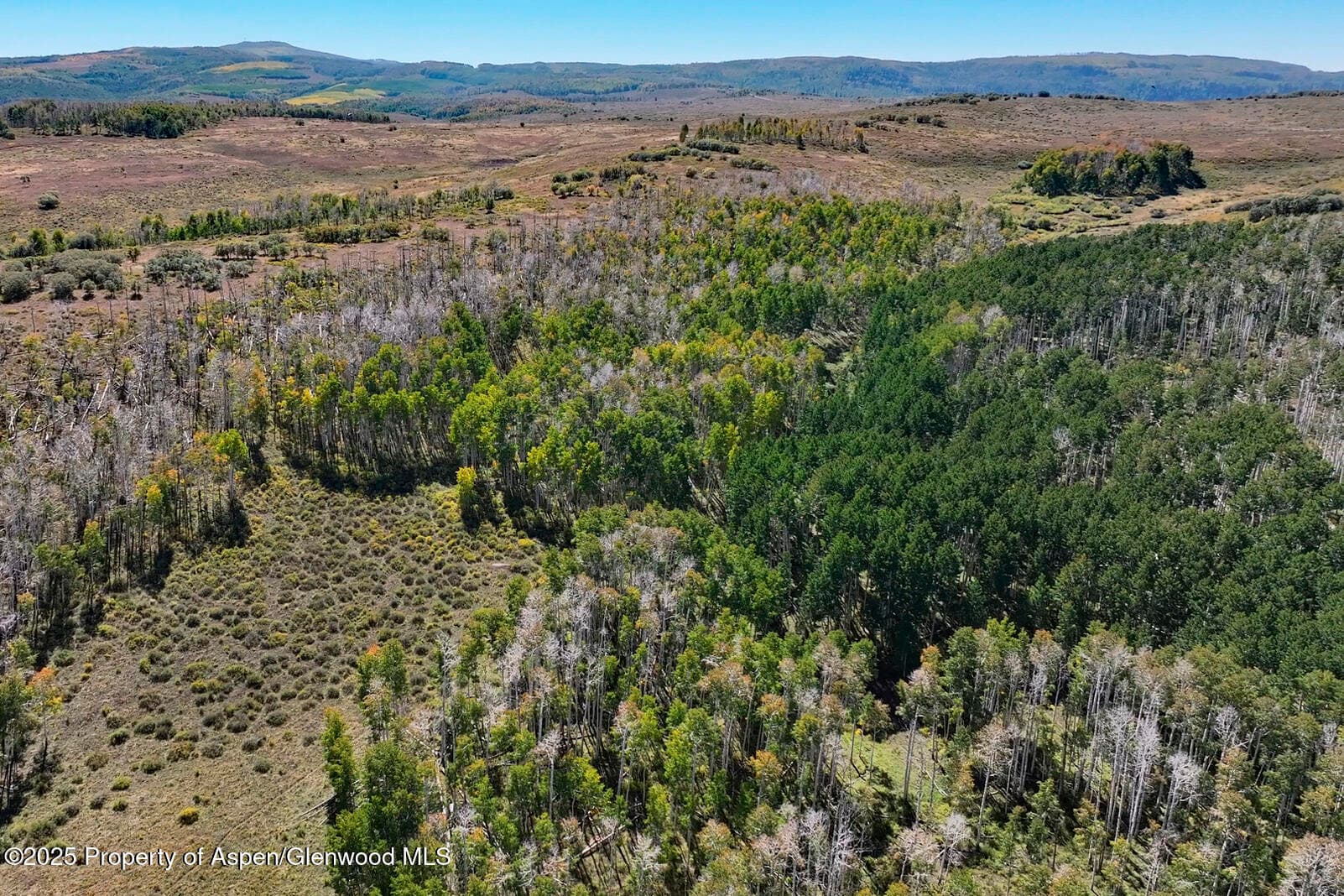 TBD Divide Road Entire Package, Whitewater, CO 81527 - Photo 28