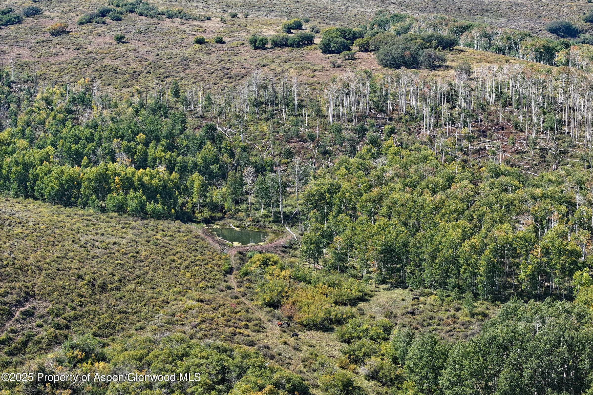 TBD Divide Road Entire Package, Whitewater, CO 81527 - Photo 31