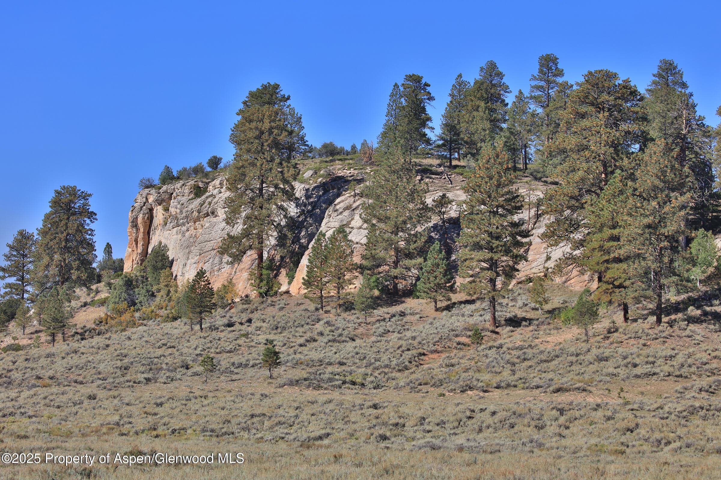 TBD Divide Road Entire Package, Whitewater, CO 81527 - Photo 34