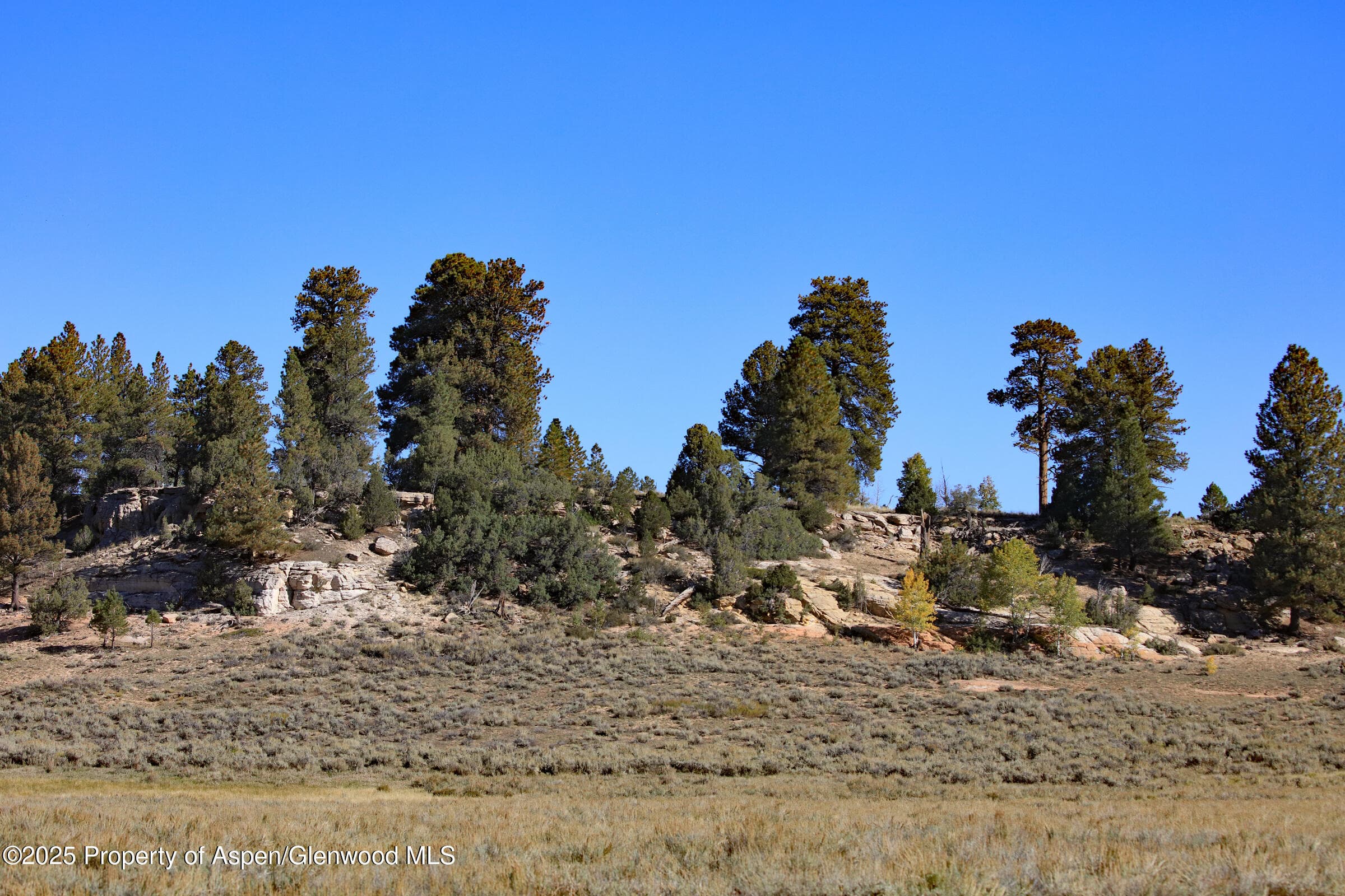 TBD Divide Road Entire Package, Whitewater, CO 81527 - Photo 37