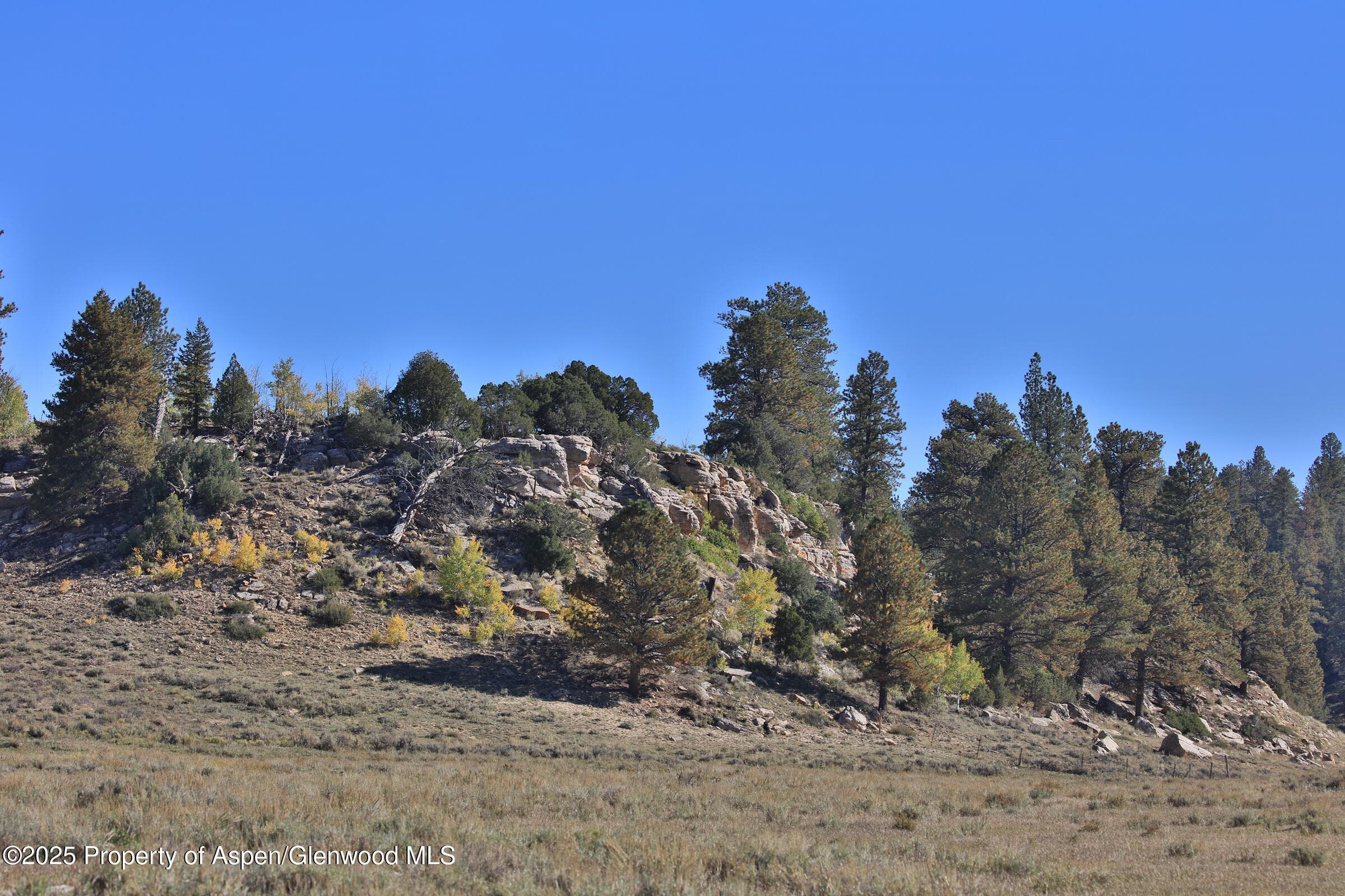 TBD Divide Road Entire Package, Whitewater, CO 81527 - Photo 39