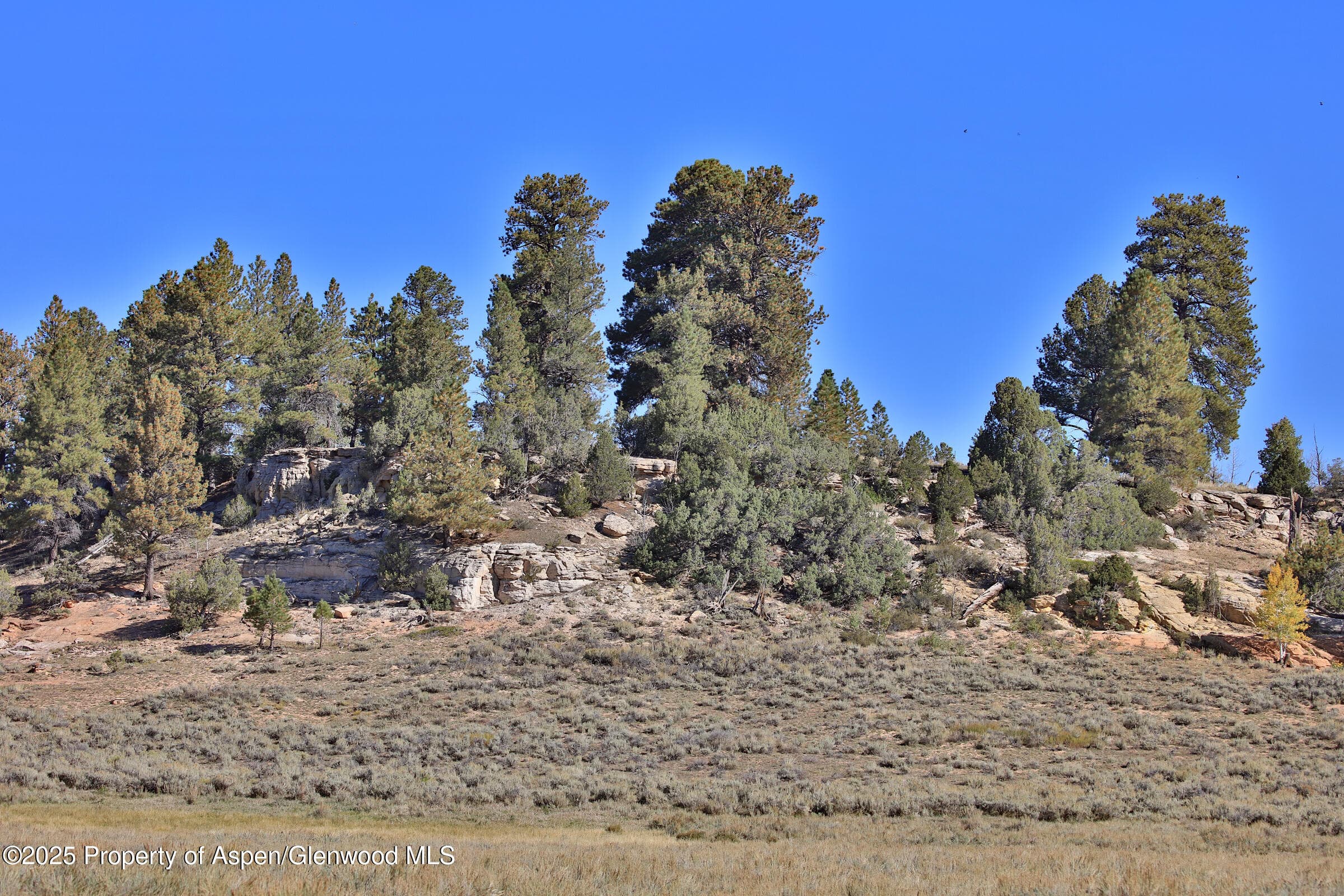 TBD Divide Road Entire Package, Whitewater, CO 81527 - Photo 40