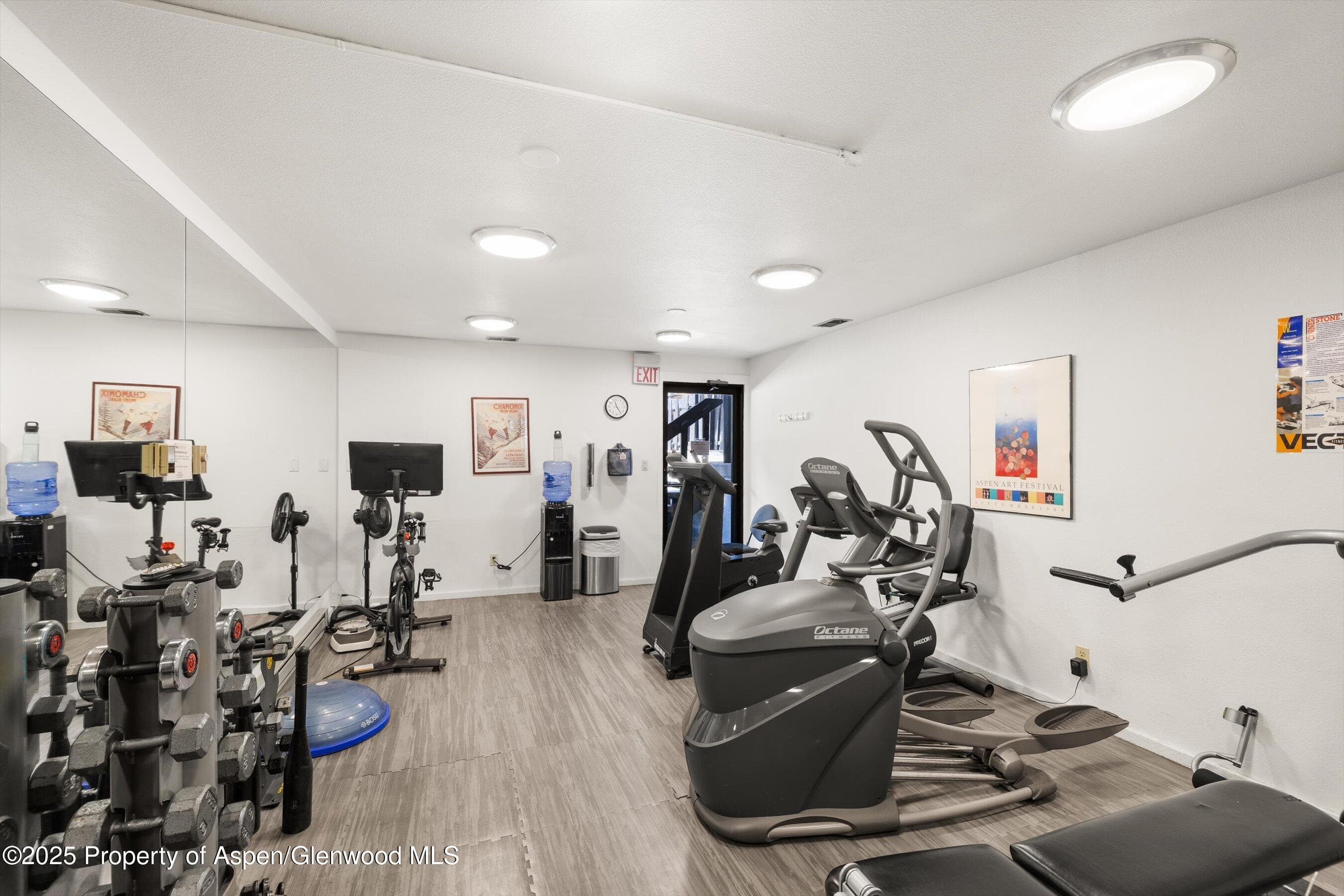 1039 E Cooper Avenue 21a, Aspen, CO 81611 - Photo 24