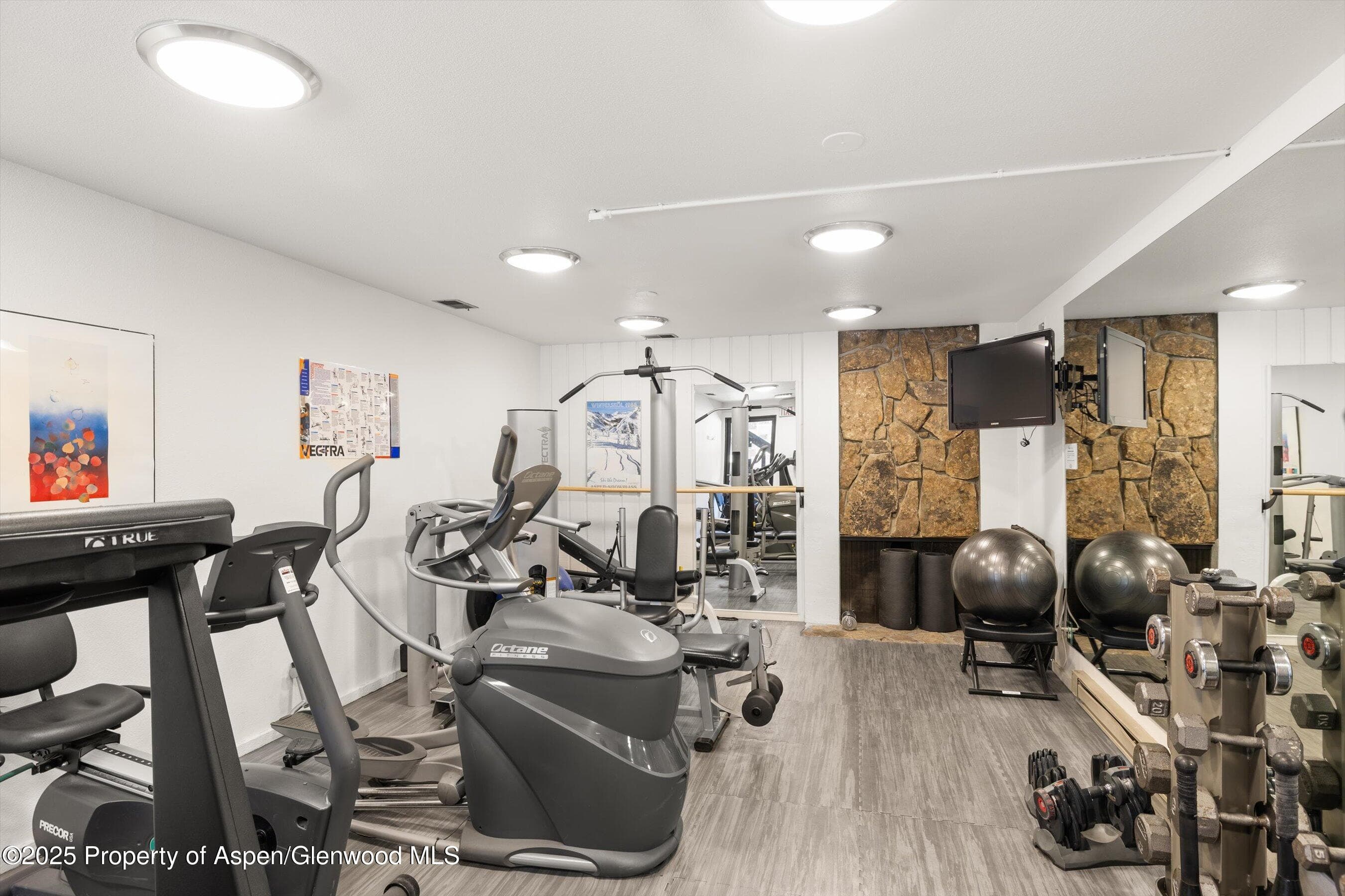 1039 E Cooper Avenue 21a, Aspen, CO 81611 - Photo 25