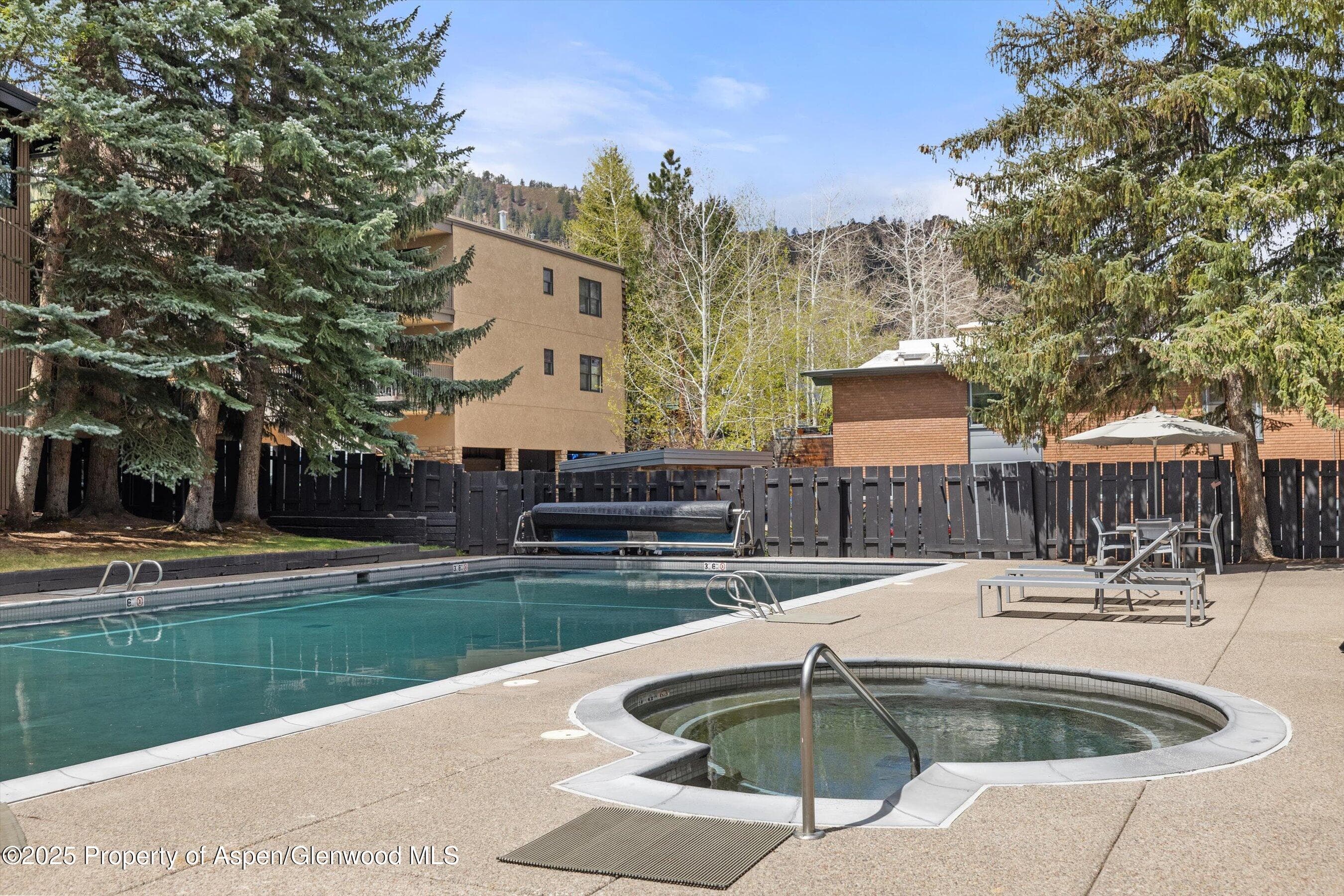 1039 E Cooper Avenue 21a, Aspen, CO 81611 - Photo 26