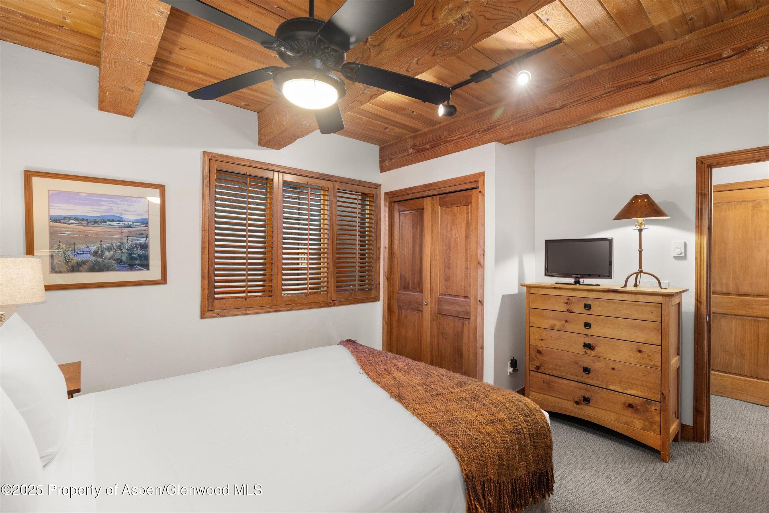 1039 E Cooper Avenue 21a, Aspen, CO 81611 - Photo 17