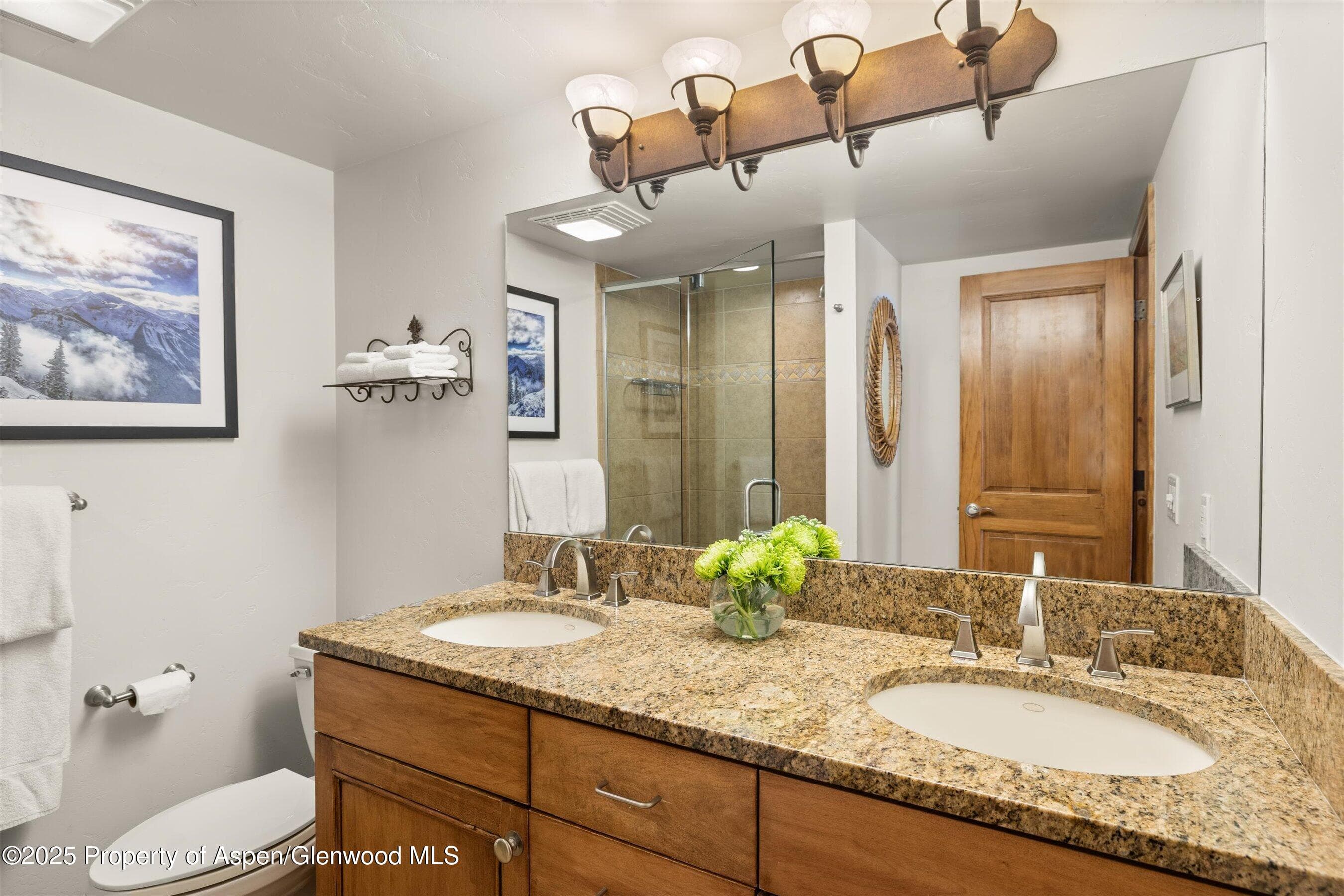 1039 E Cooper Avenue 21a, Aspen, CO 81611 - Photo 15