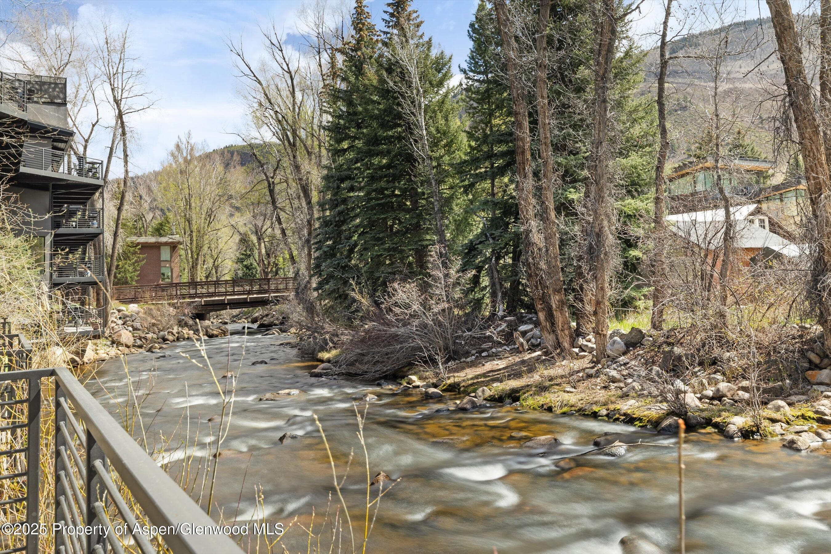 1039 E Cooper Avenue 21a, Aspen, CO 81611 - Photo 23