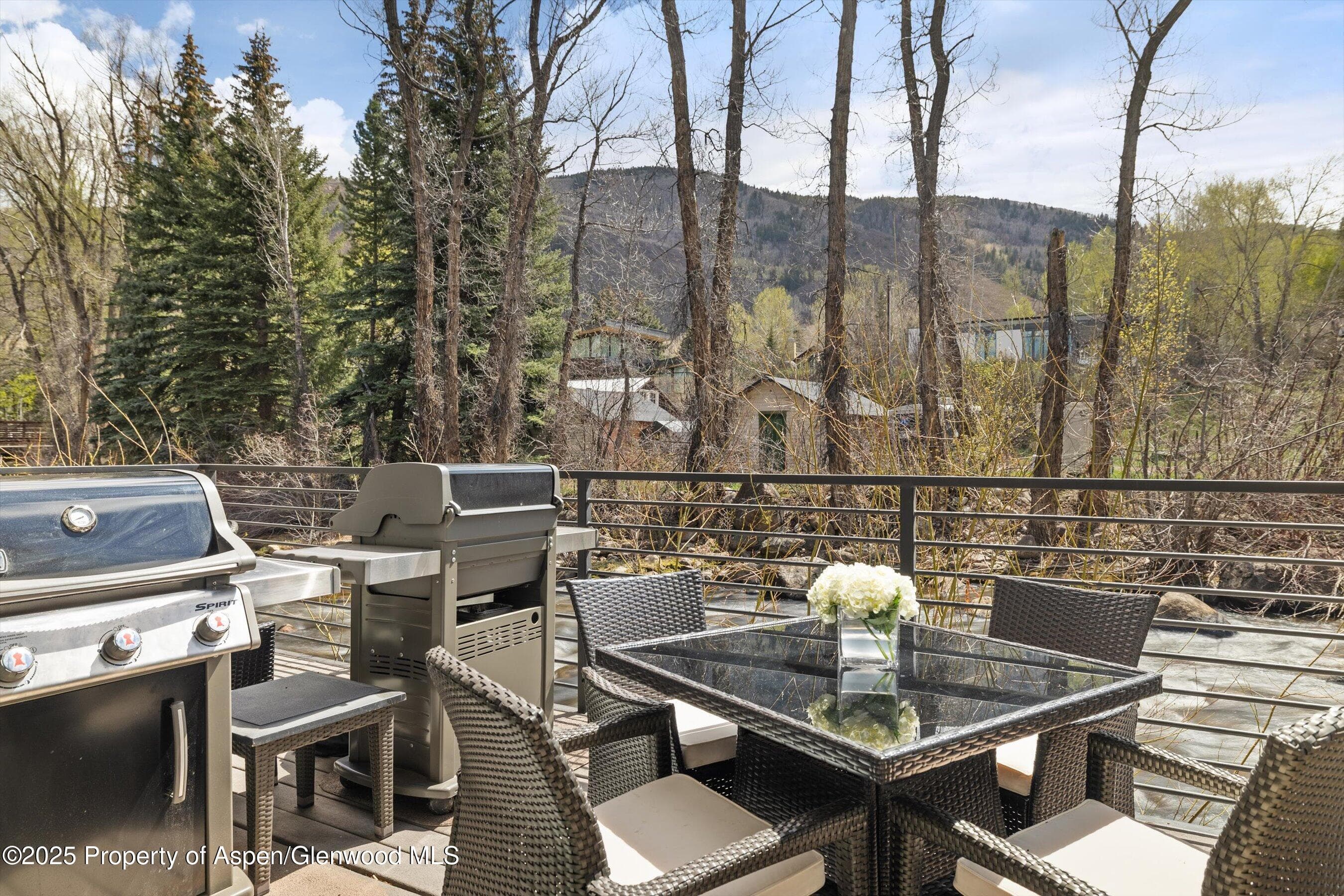 1039 E Cooper Avenue 21a, Aspen, CO 81611 - Photo 22