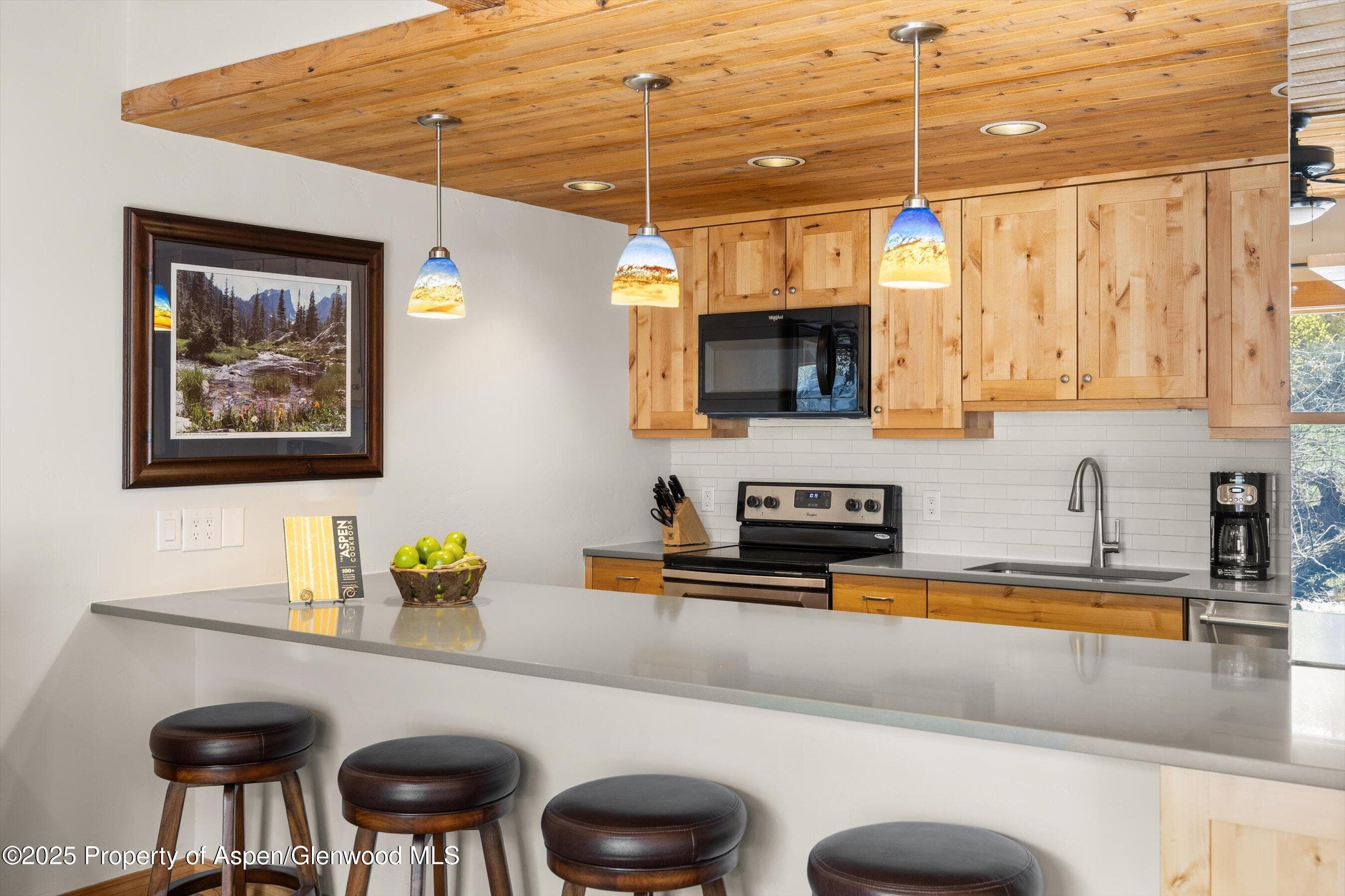 1039 E Cooper Avenue 21a, Aspen, CO 81611 - Photo 9