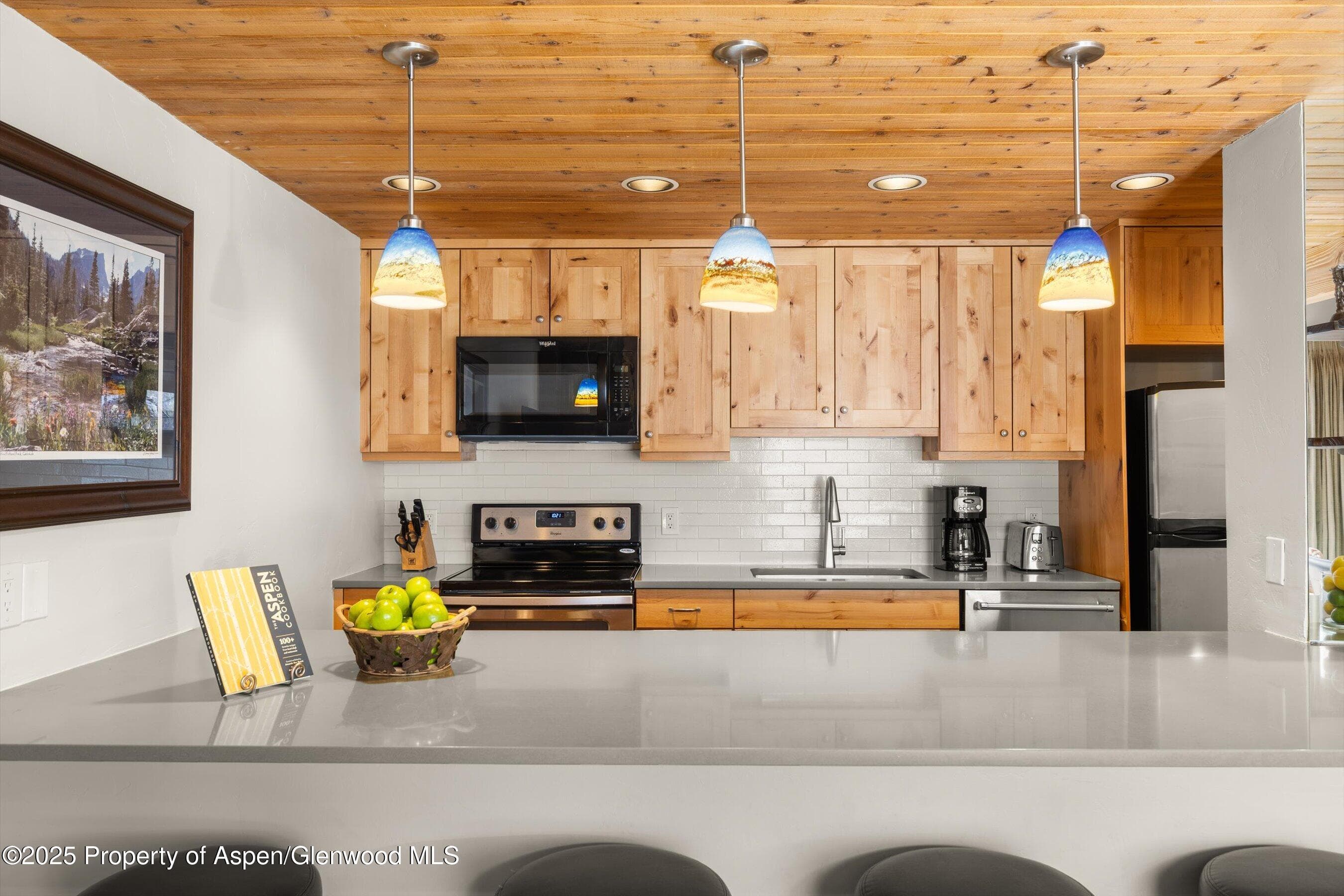 1039 E Cooper Avenue 21a, Aspen, CO 81611 - Photo 10