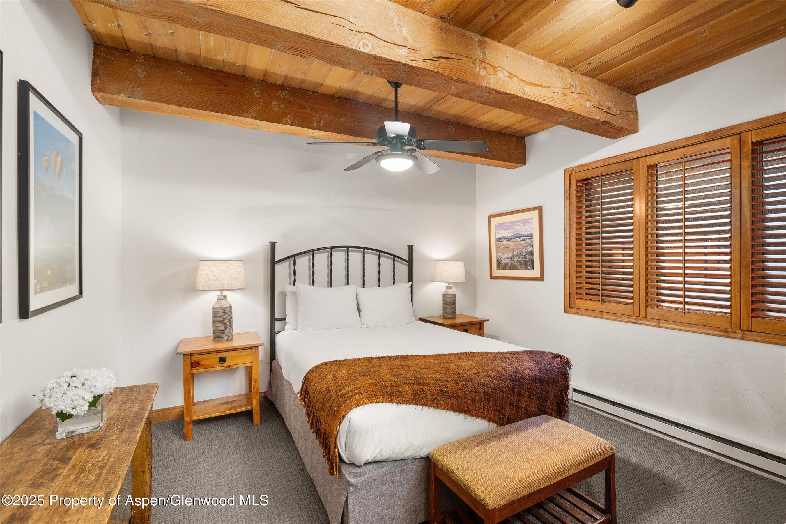 1039 E Cooper Avenue 21a, Aspen, CO 81611 - Photo 18