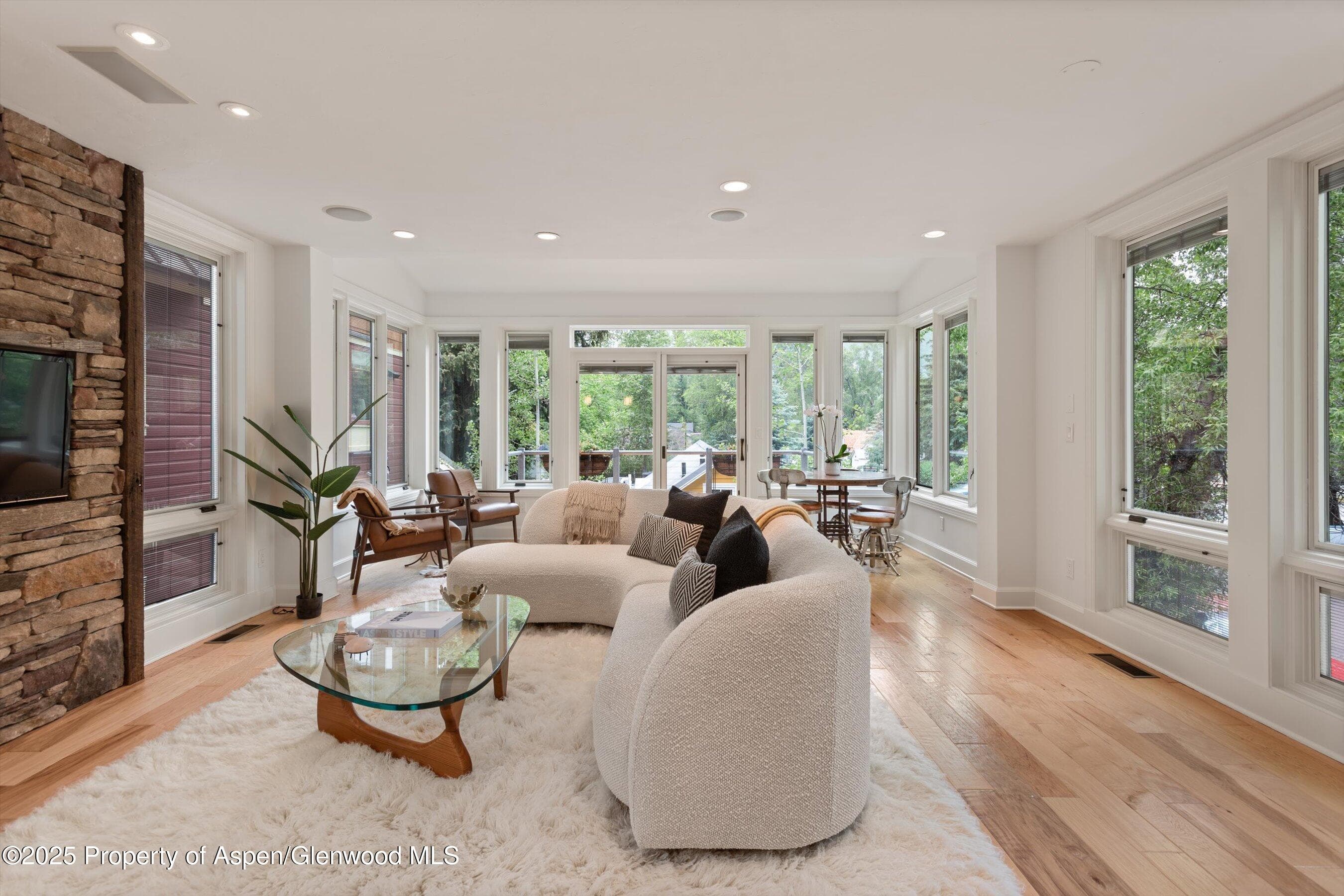 111 S Sixth Street Street, Aspen, CO 81611 - Photo 11