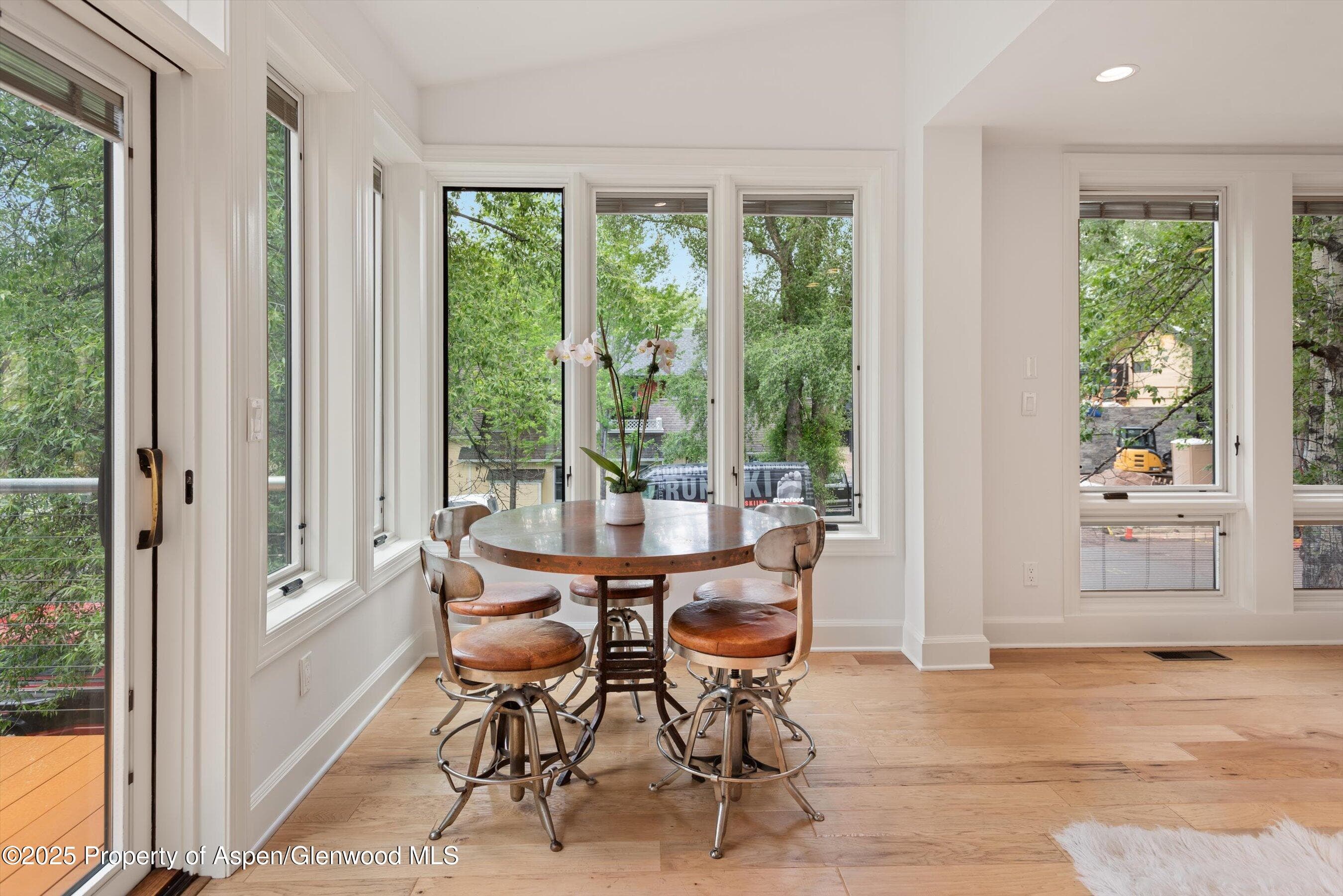 111 S Sixth Street Street, Aspen, CO 81611 - Photo 12