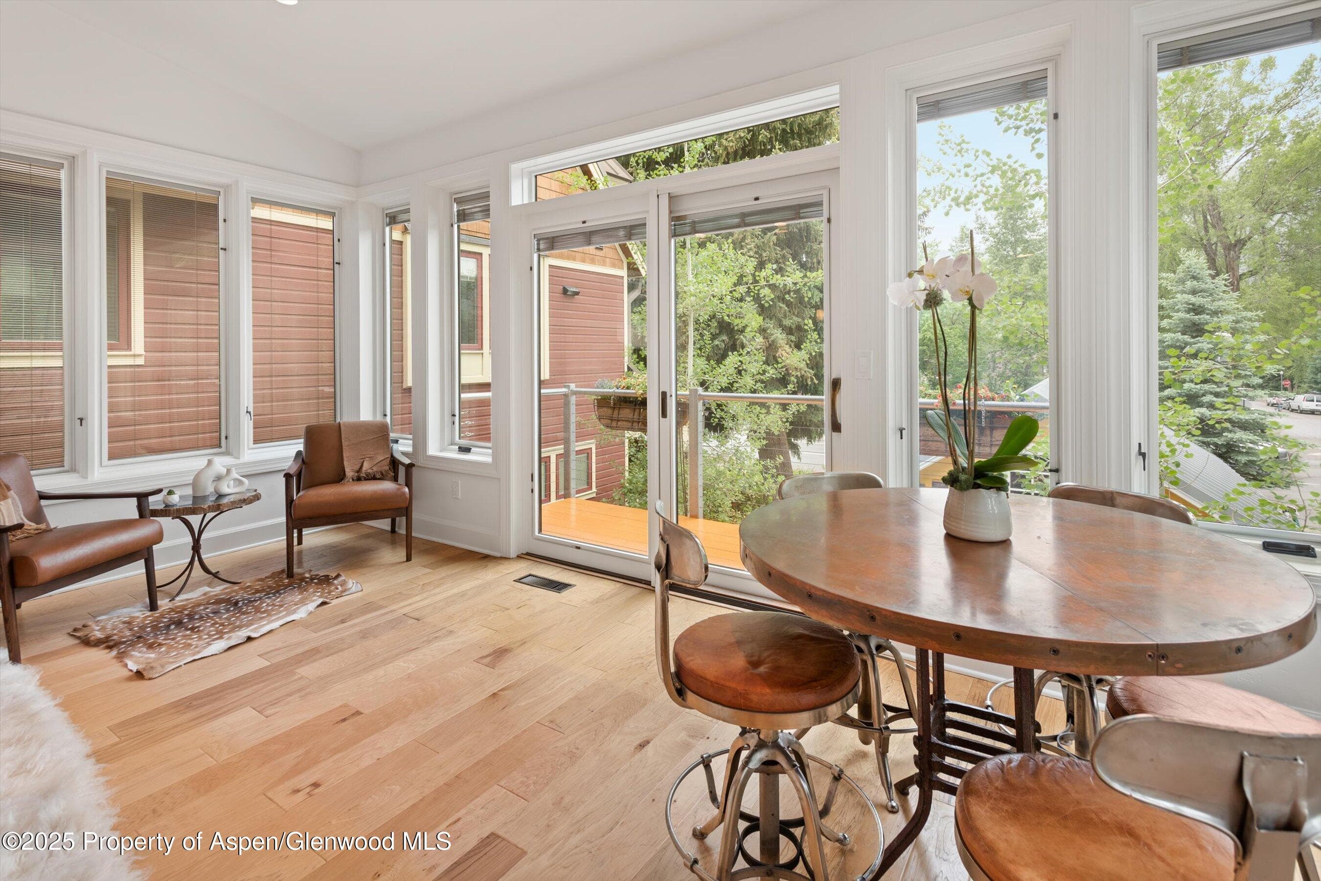 111 S Sixth Street Street, Aspen, CO 81611 - Photo 14
