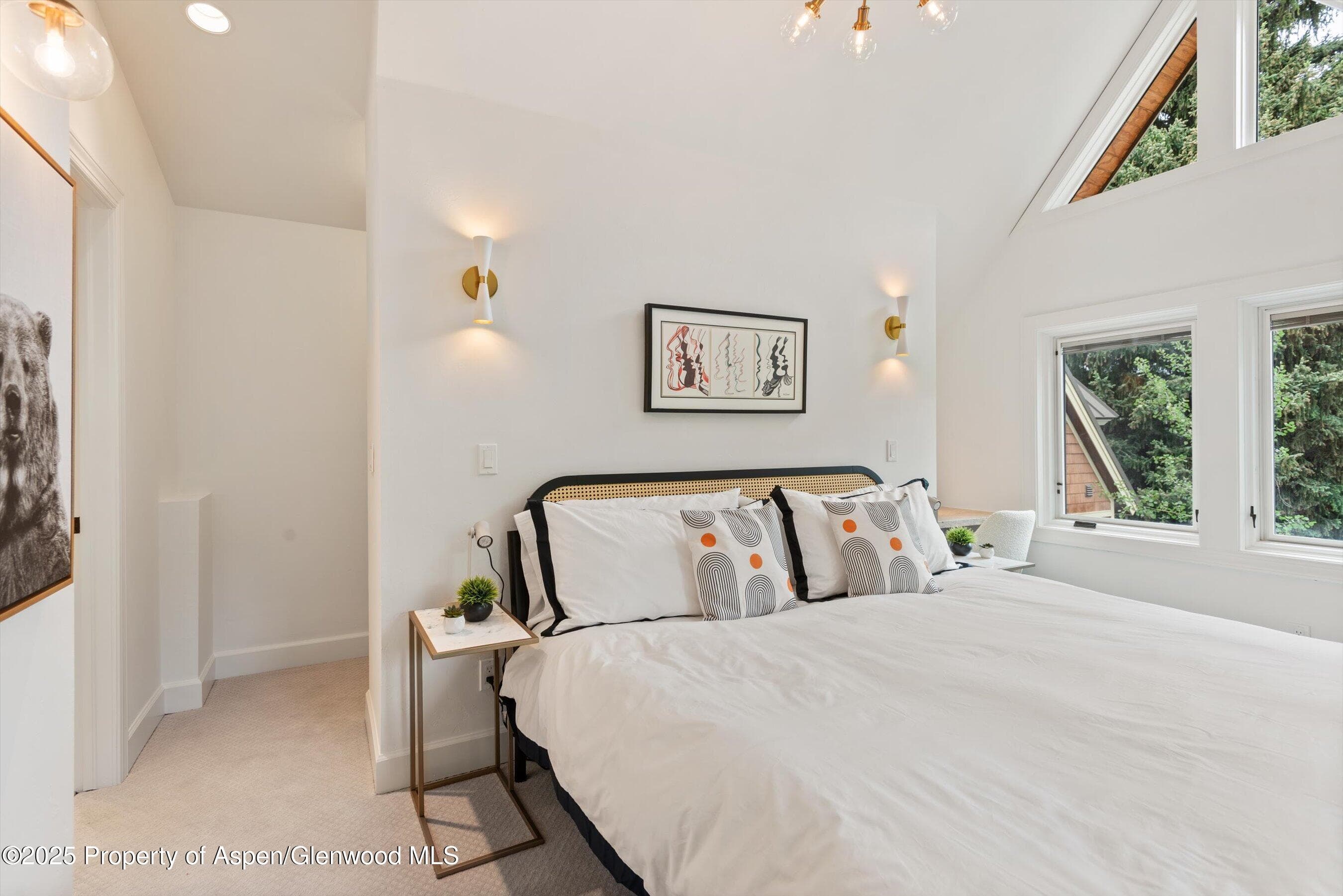 111 S Sixth Street Street, Aspen, CO 81611 - Photo 19