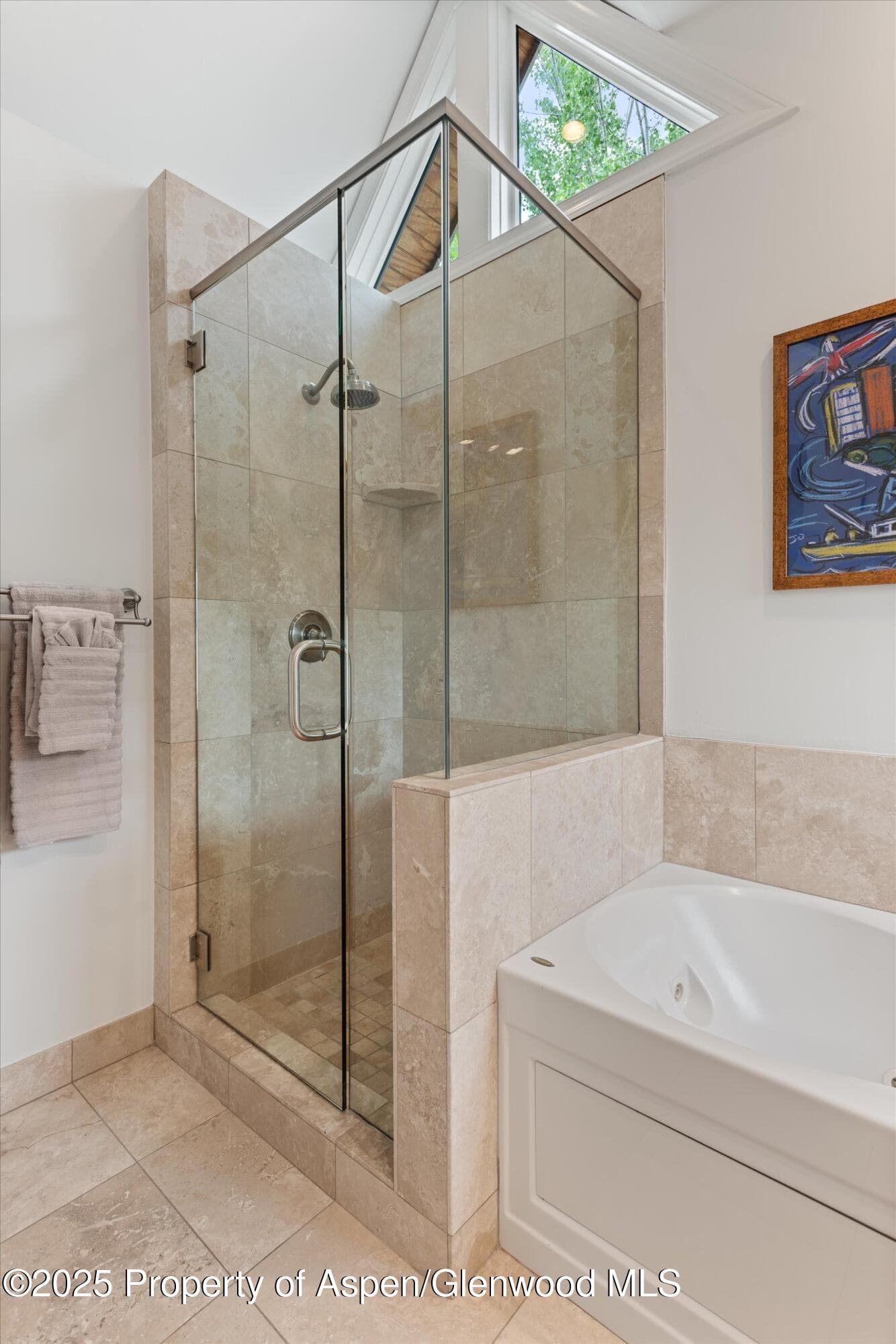 111 S Sixth Street Street, Aspen, CO 81611 - Photo 21