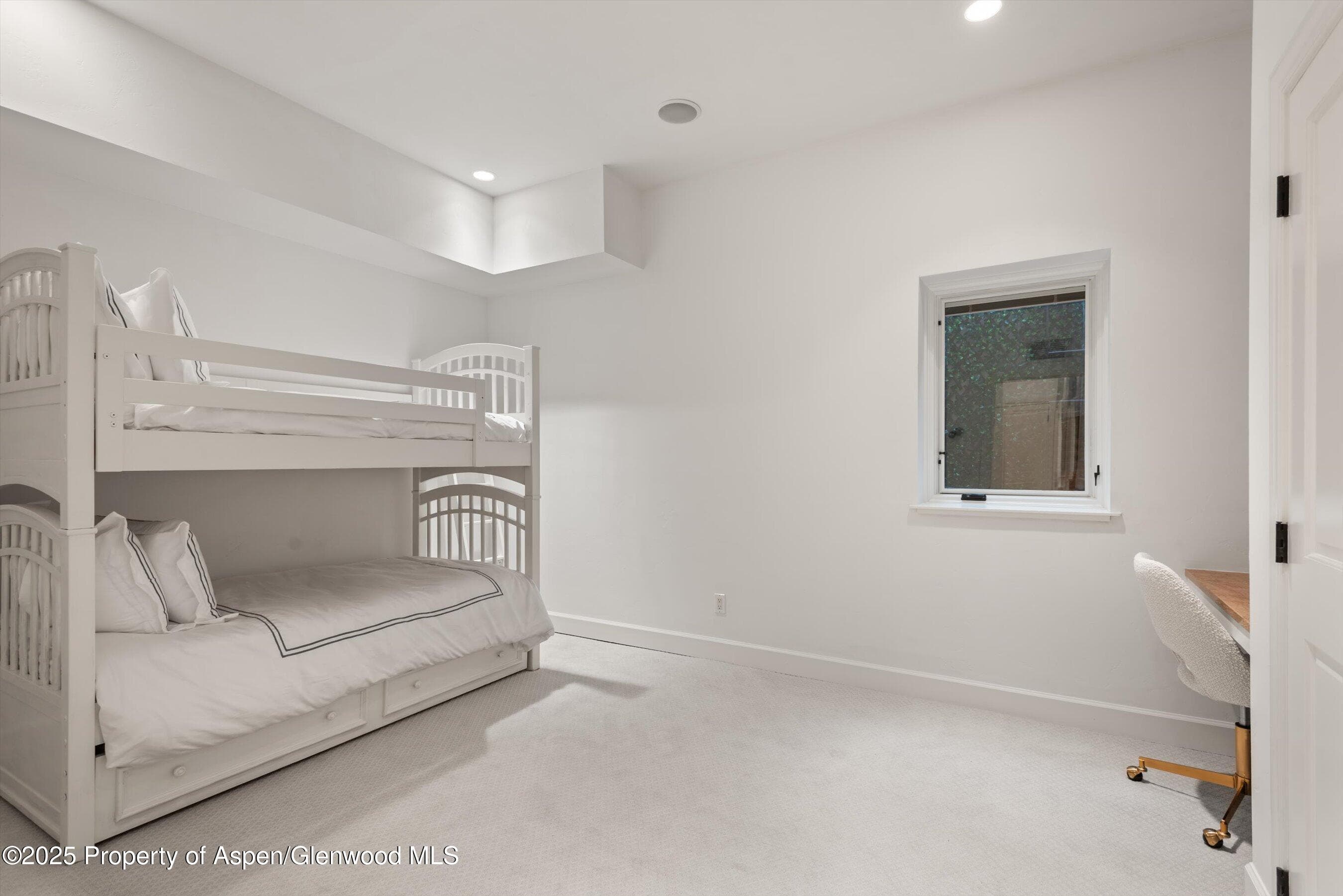 111 S Sixth Street Street, Aspen, CO 81611 - Photo 47