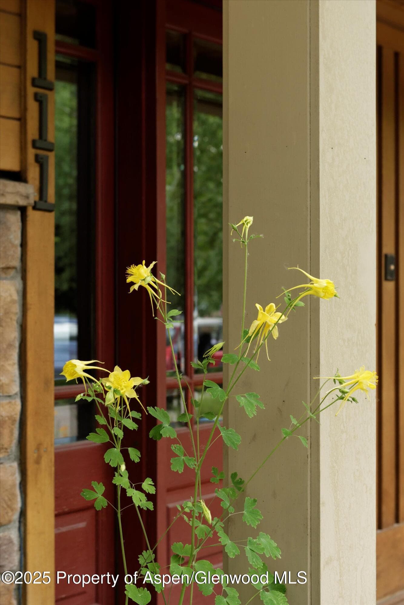 111 S Sixth Street Street, Aspen, CO 81611 - Photo 59