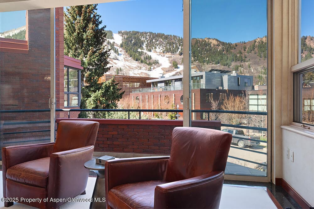 208 S Spring Street #1, Aspen, CO 81611 - Photo 11
