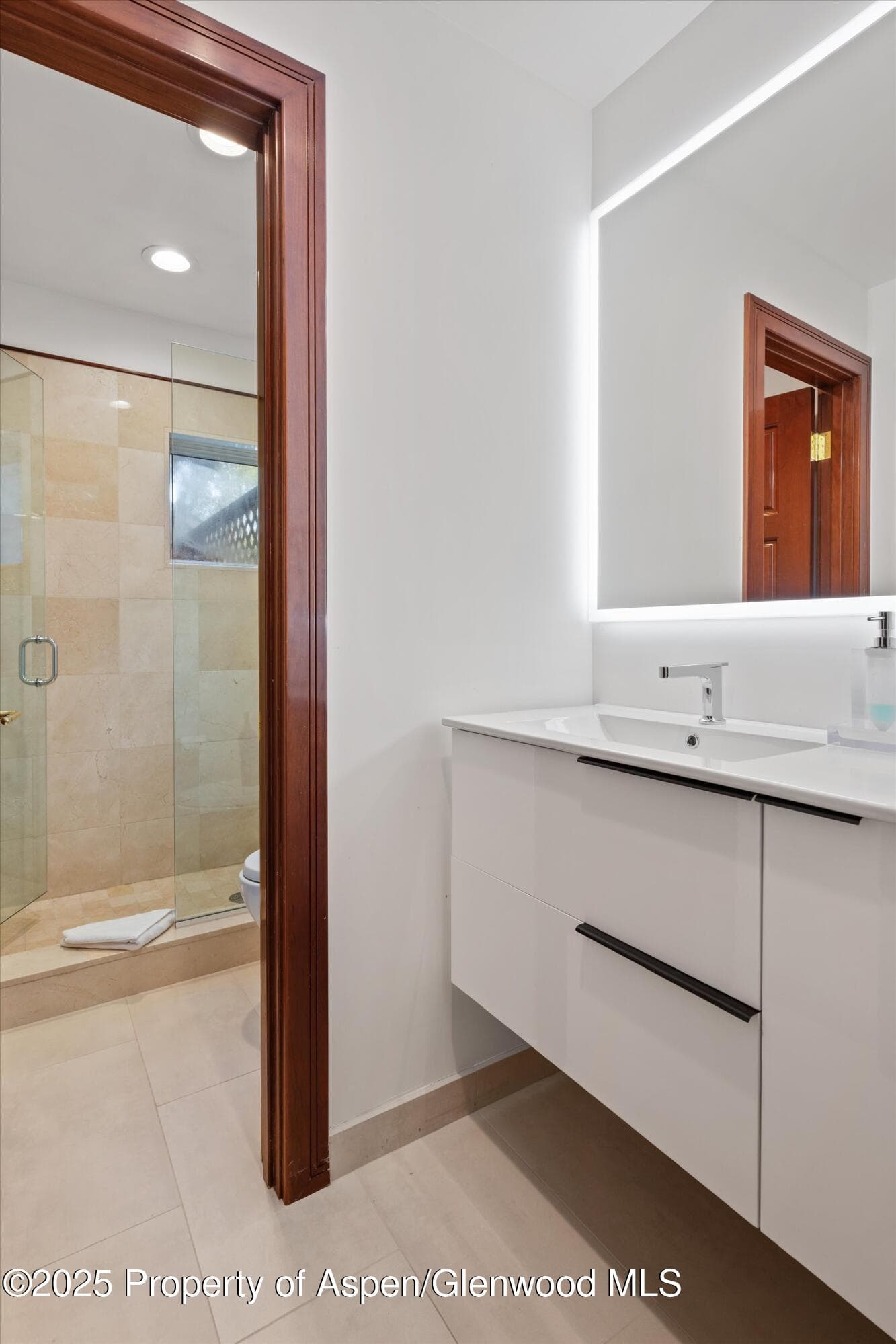 208 S Spring Street #1, Aspen, CO 81611 - Photo 18
