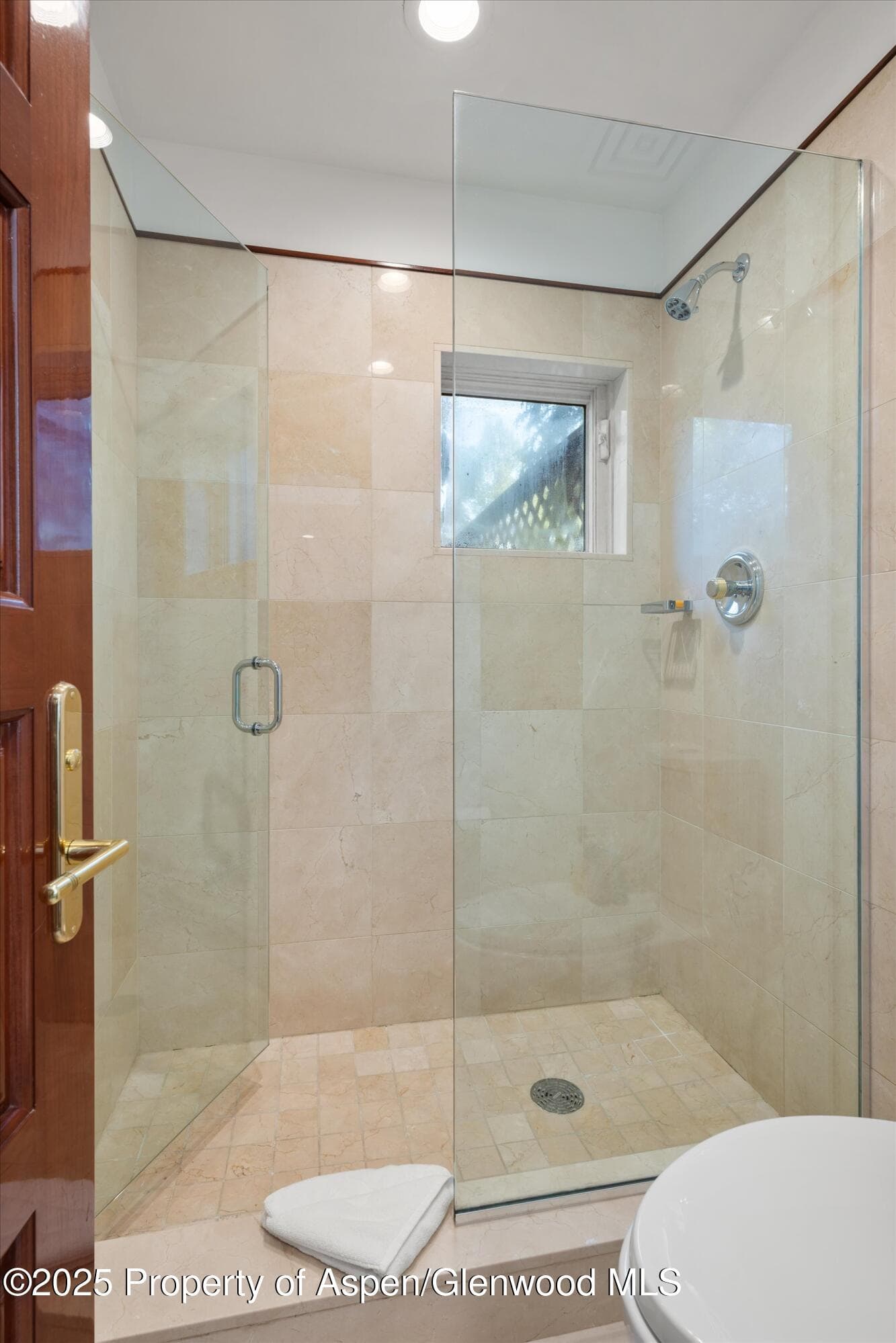 208 S Spring Street #1, Aspen, CO 81611 - Photo 19