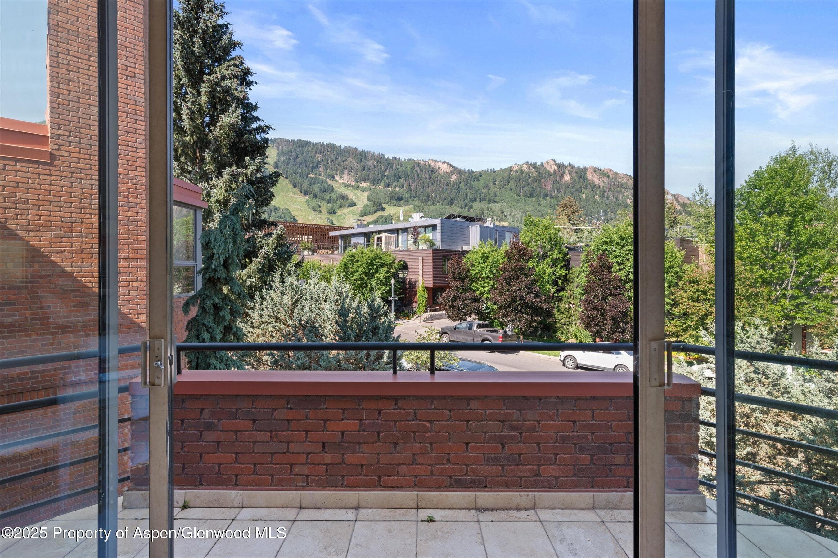208 S Spring Street #1, Aspen, CO 81611 - Photo 26
