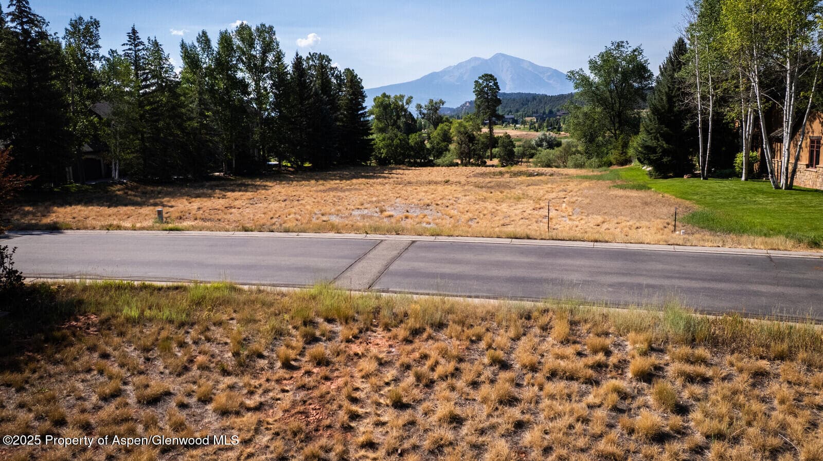 36 Alpen Glo Lane, Carbondale, CO 81623 - Photo 13
