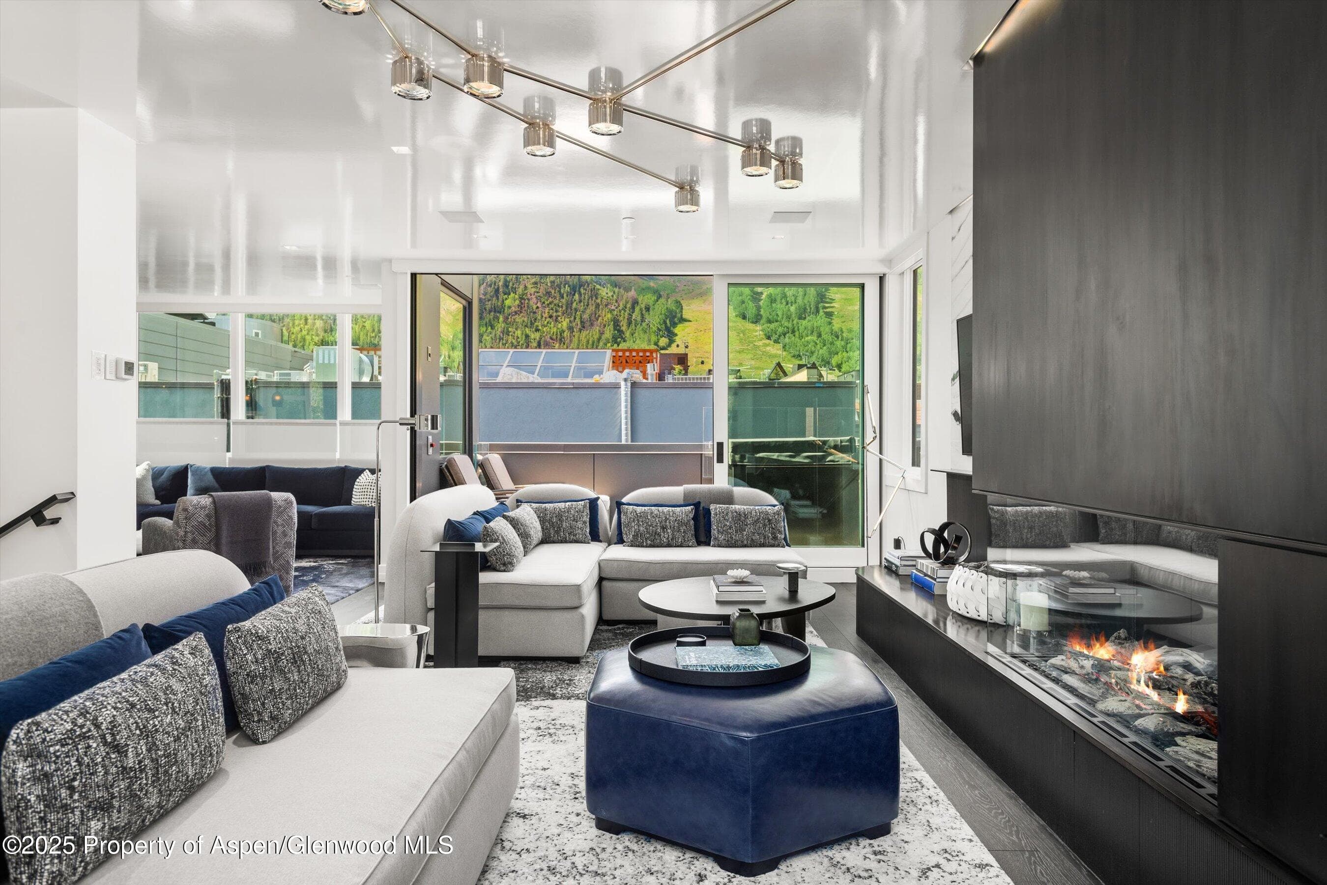 627 E Hopkins Avenue, Aspen, CO 81611 - Photo 4