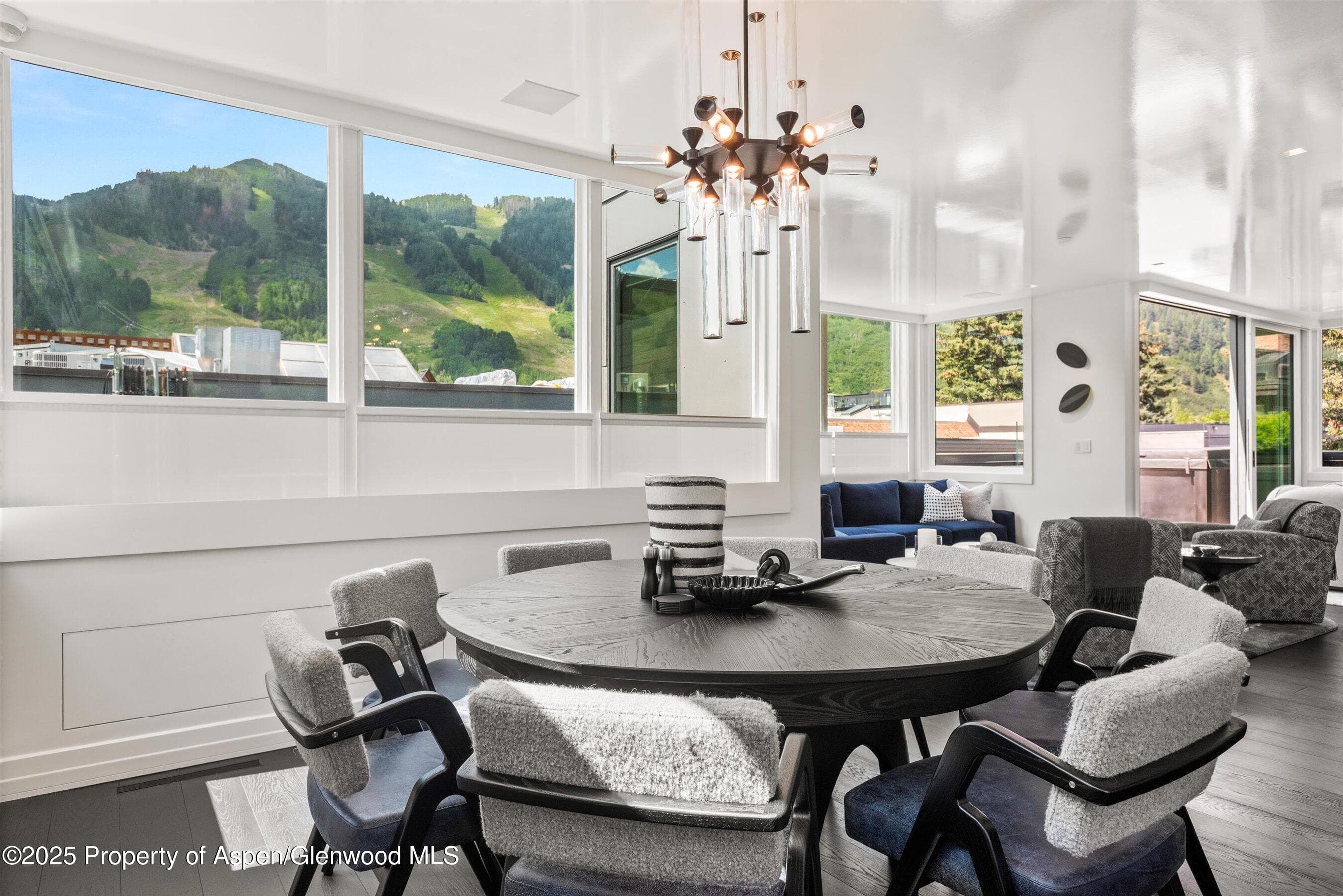 627 E Hopkins Avenue, Aspen, CO 81611 - Photo 8
