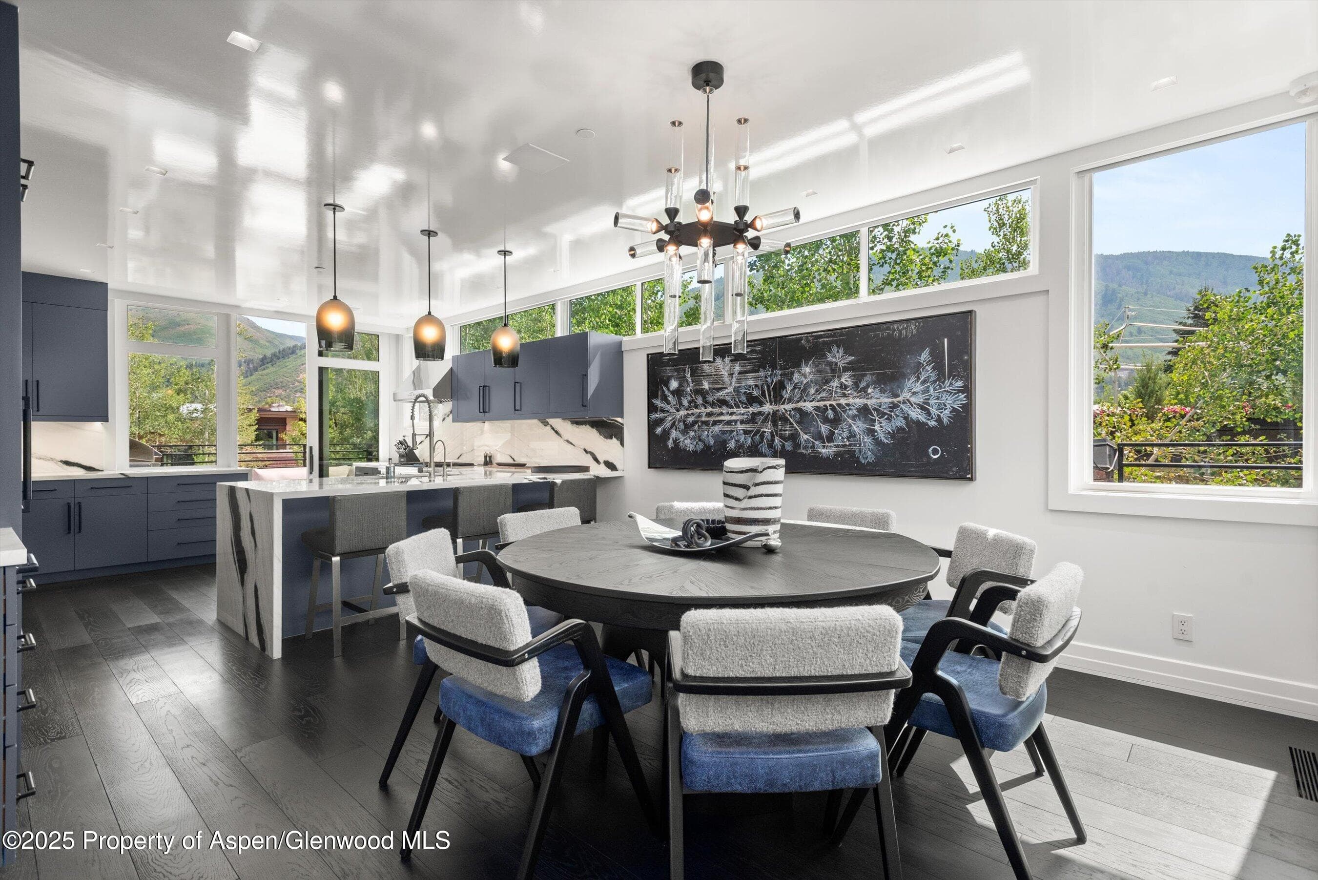 627 E Hopkins Avenue, Aspen, CO 81611 - Photo 9