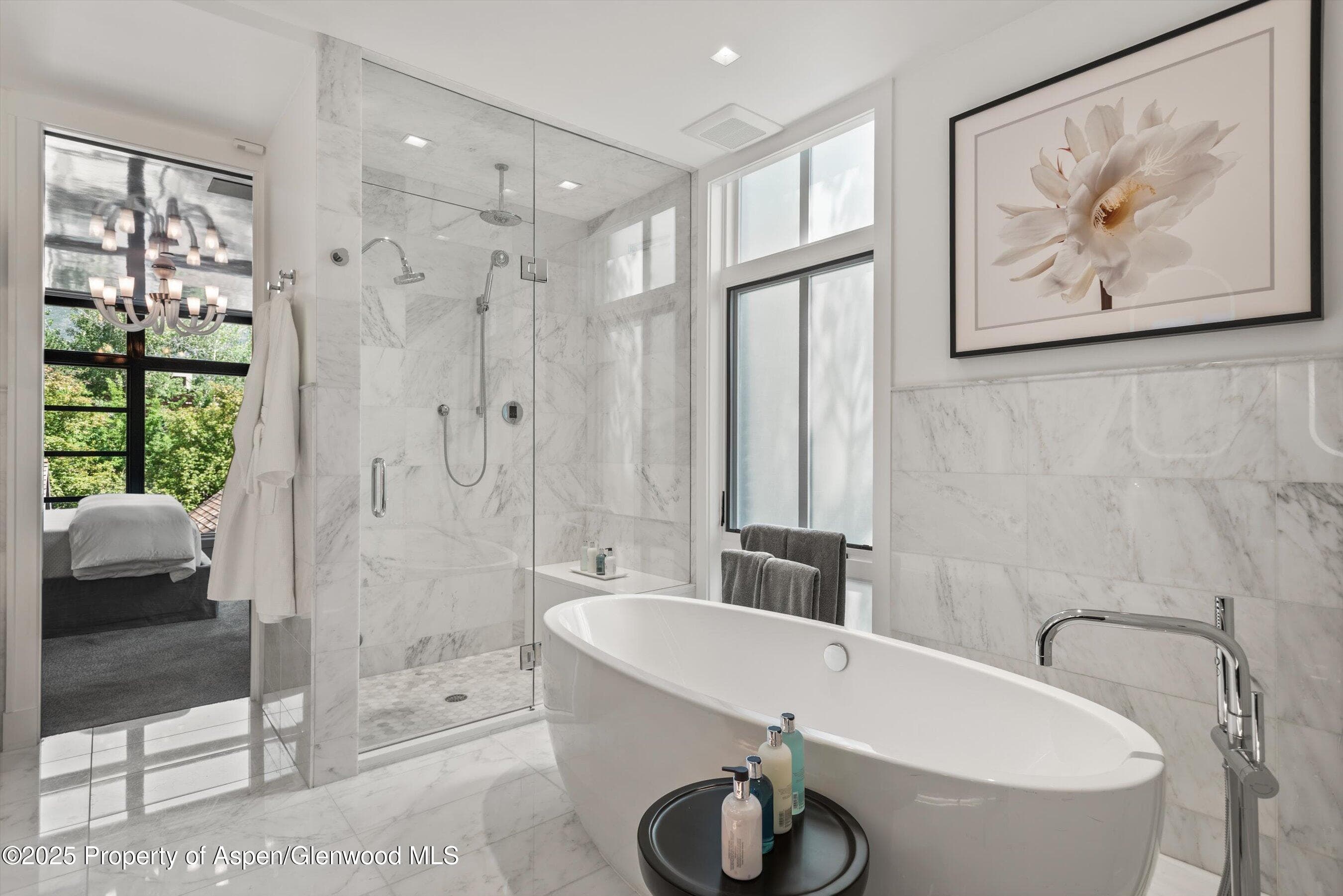 627 E Hopkins Avenue, Aspen, CO 81611 - Photo 19