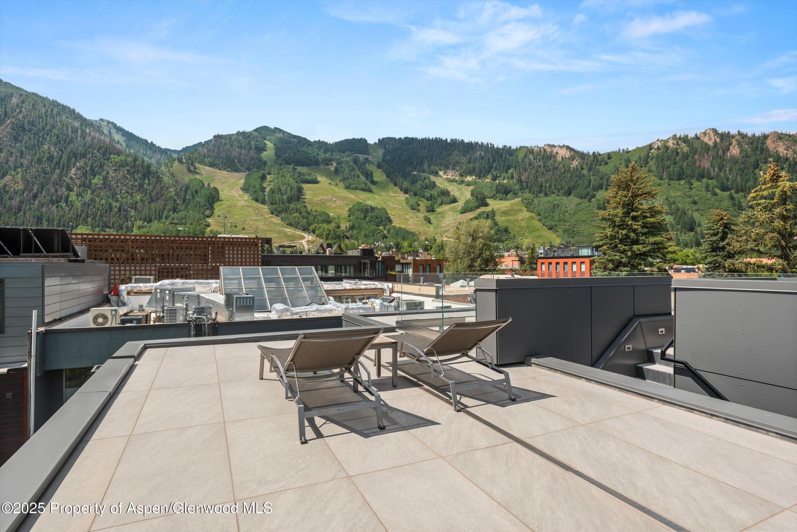 627 E Hopkins Avenue, Aspen, CO 81611 - Photo 36
